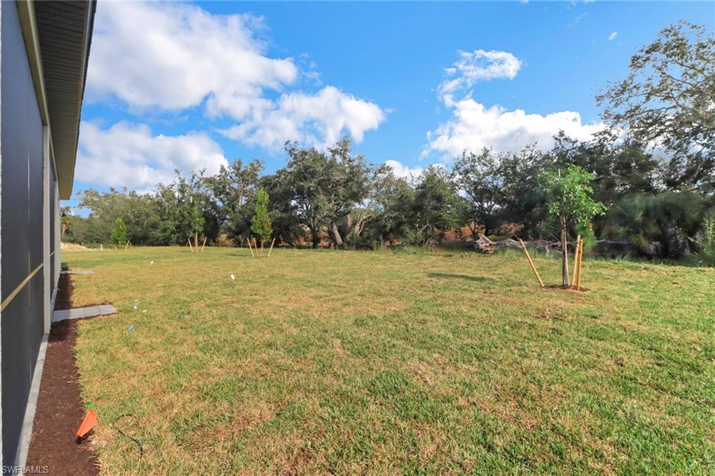 11045 Hanging Vine DR