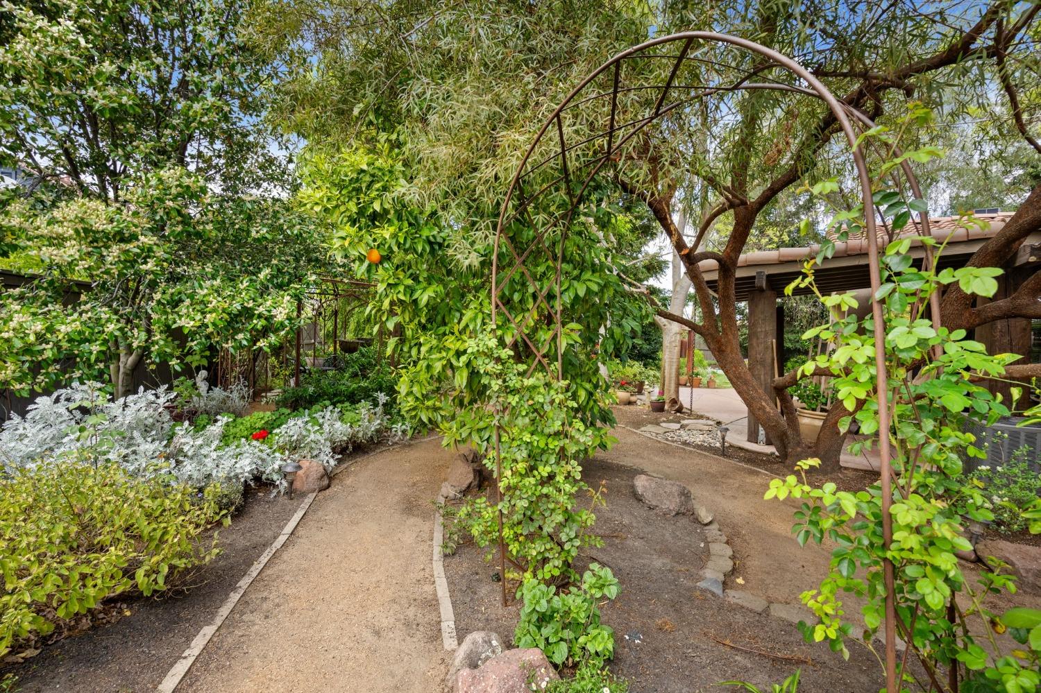 341 Perazul Circle