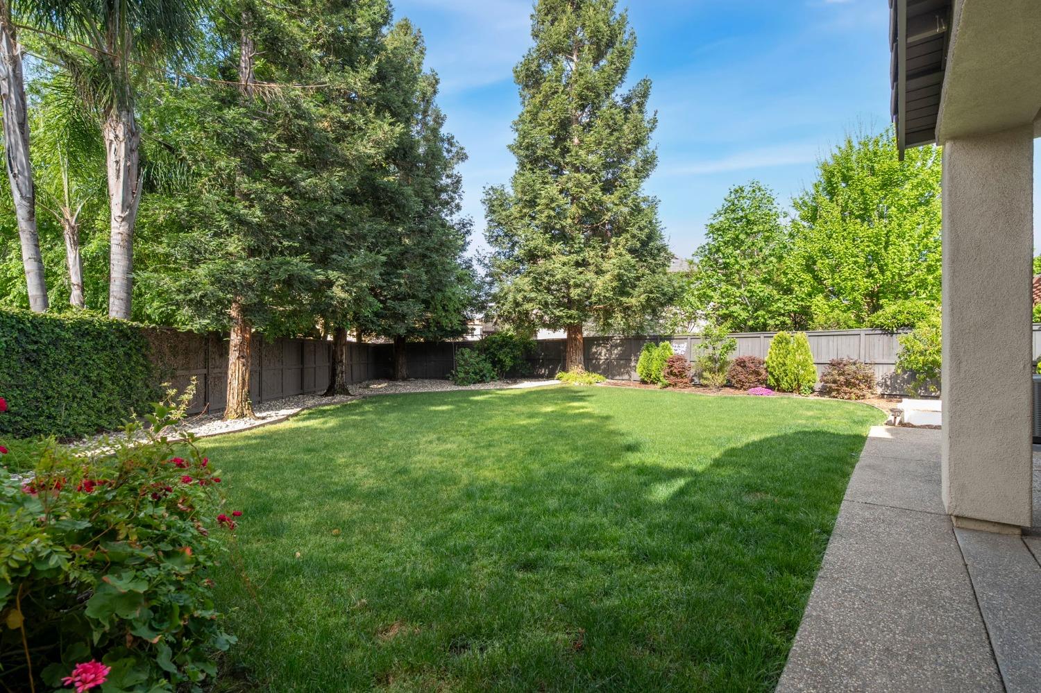 211 Perazul Circle