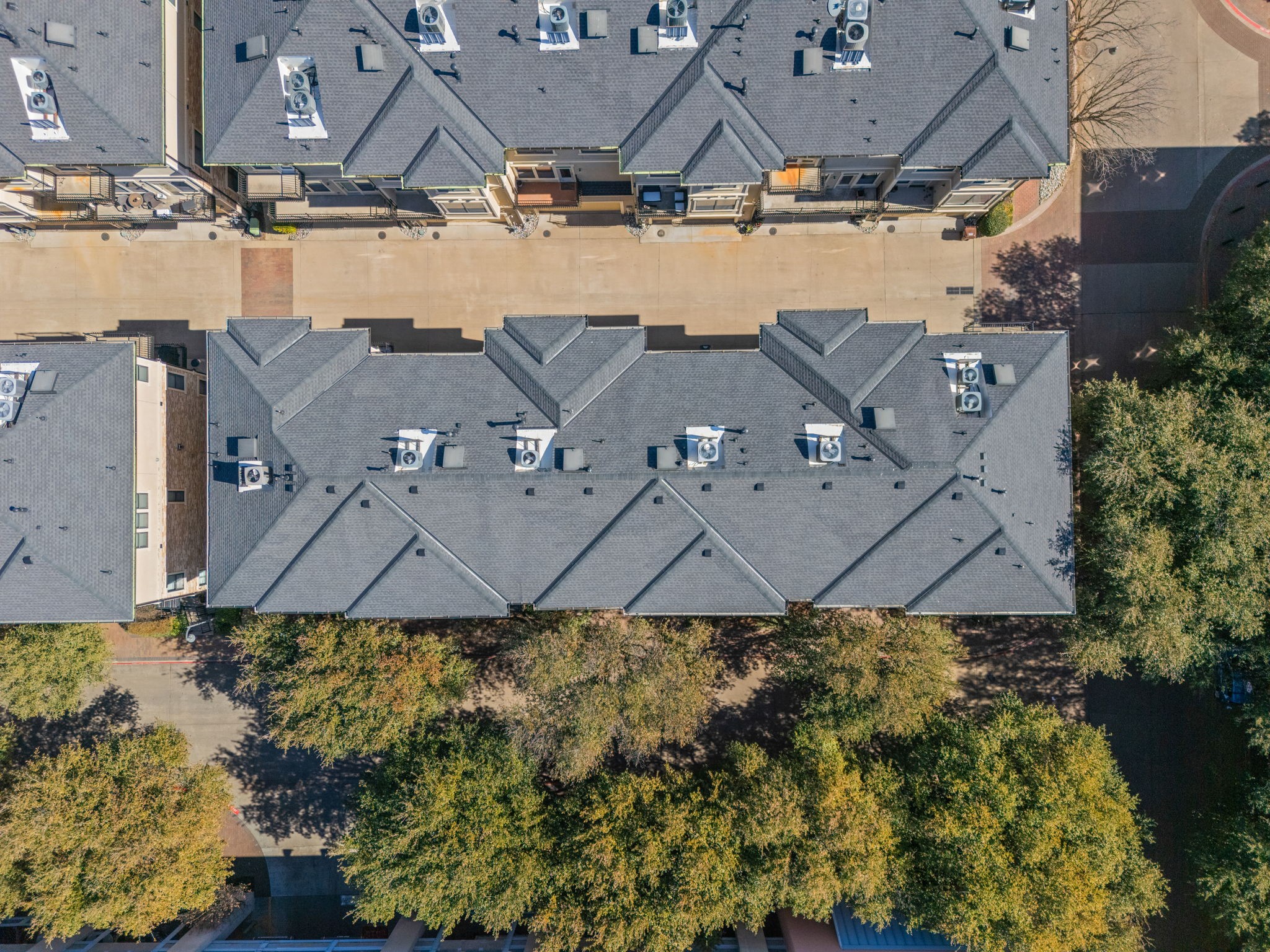 7212 Olivia Lane