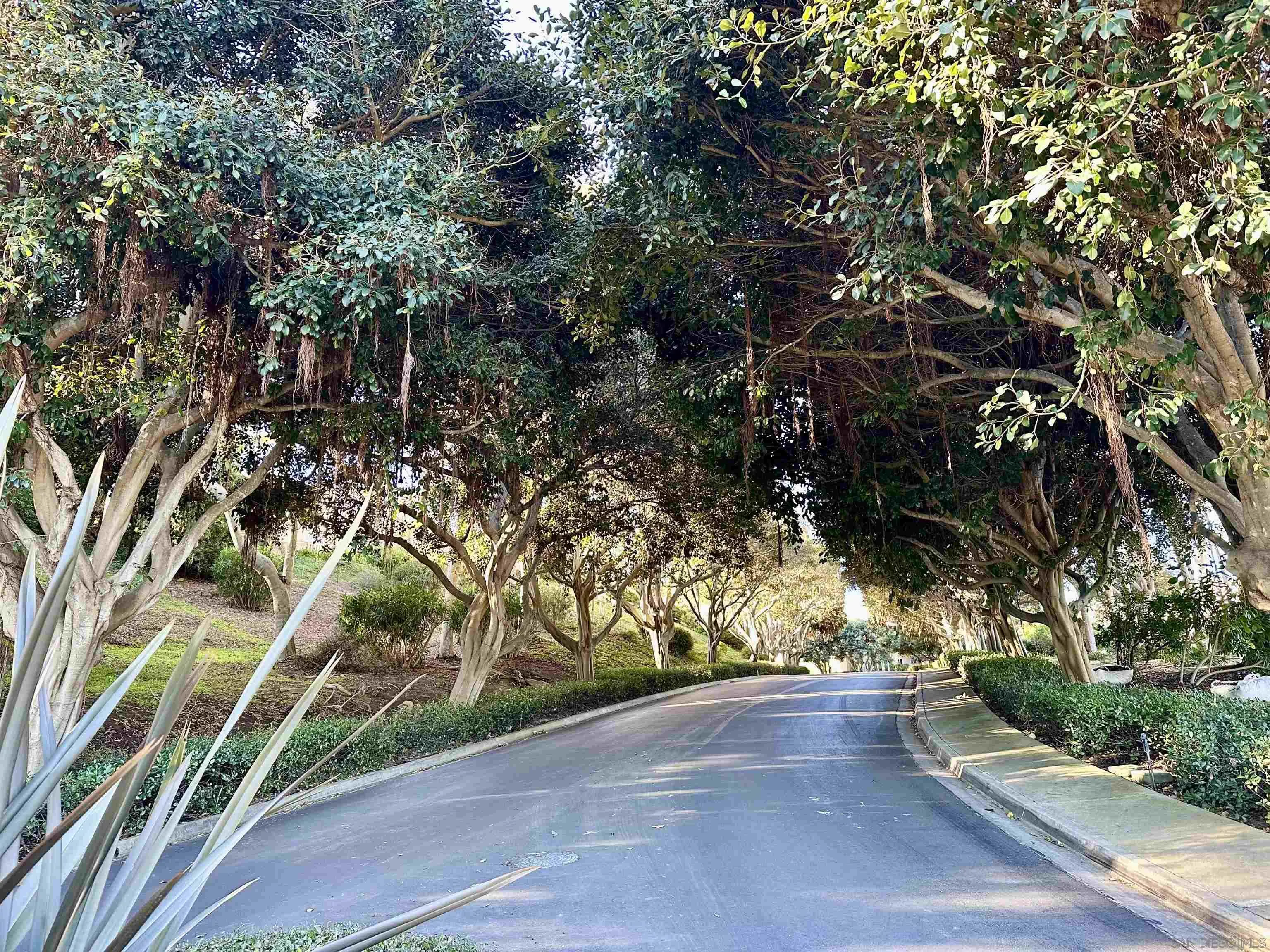 14725 Caminito Porta Delgada
