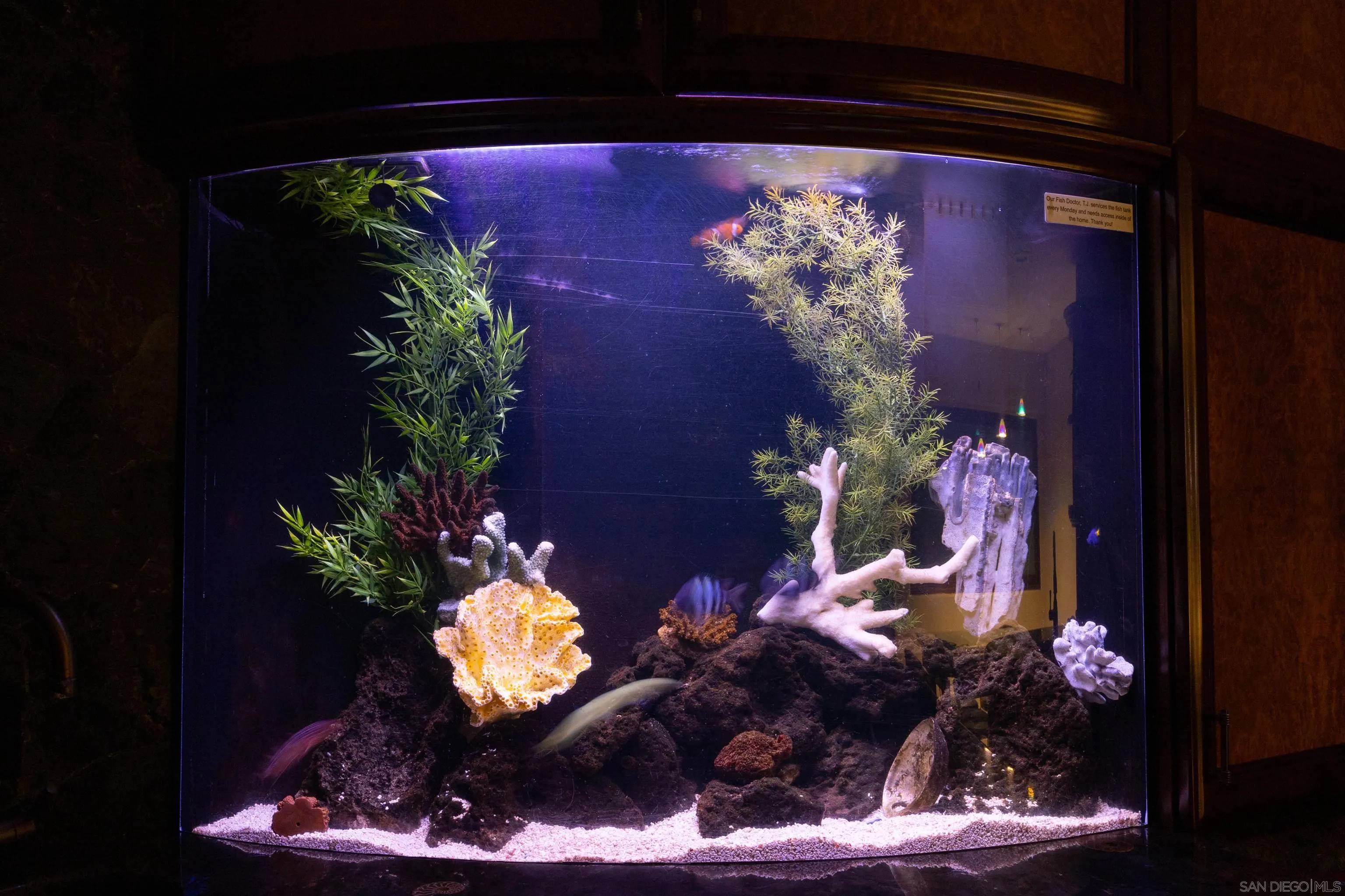 3921 Ocean Front Walk