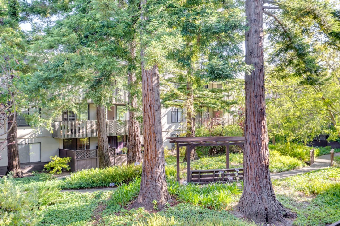 2226 Shelter Creek Lane