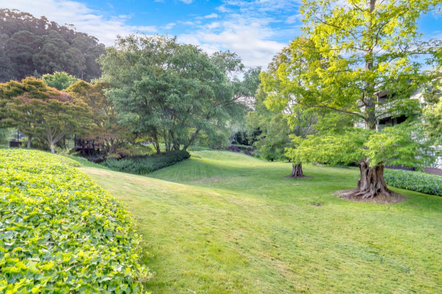 2226 Shelter Creek Lane