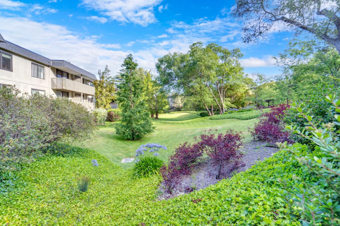 2226 Shelter Creek Lane