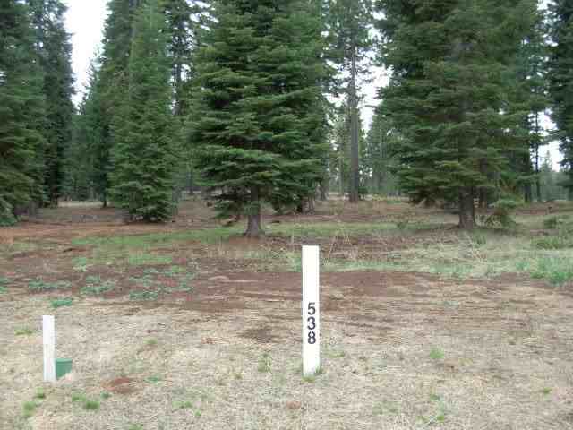58 Winterwood Drive