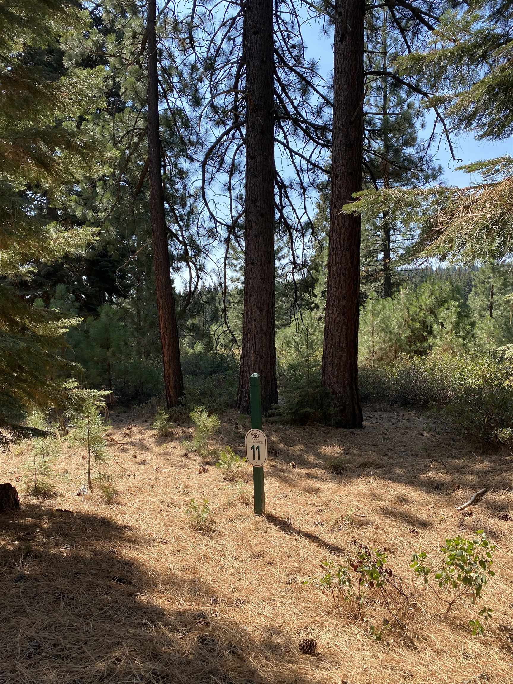 177 Ponderosa Pine Lane