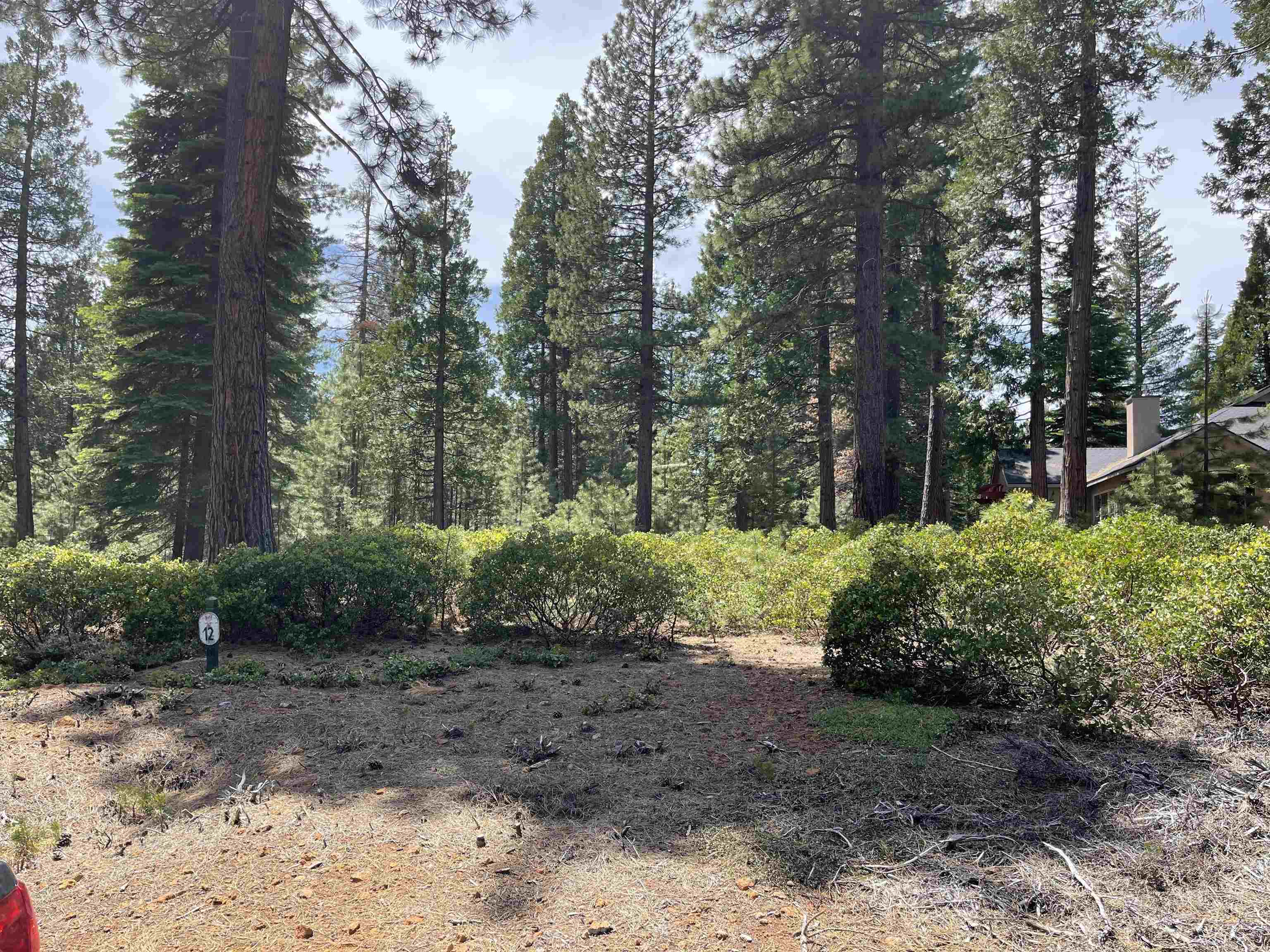 70 Fox Pine Drive