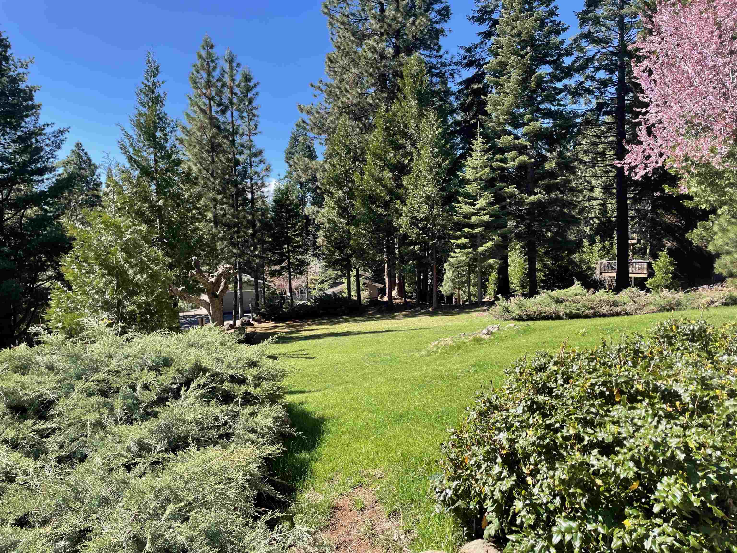 701 Timber Ridge Road