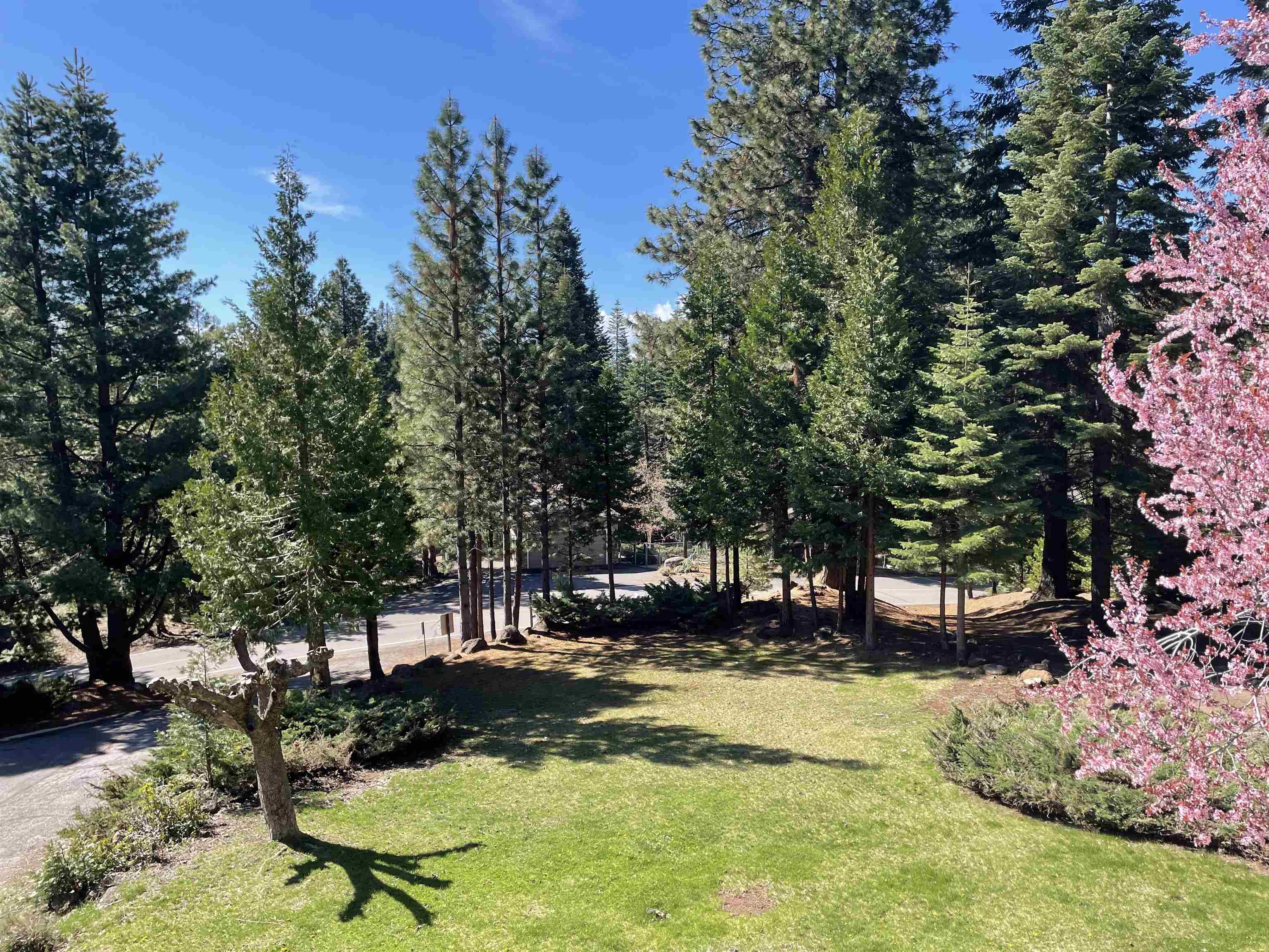 701 Timber Ridge Road
