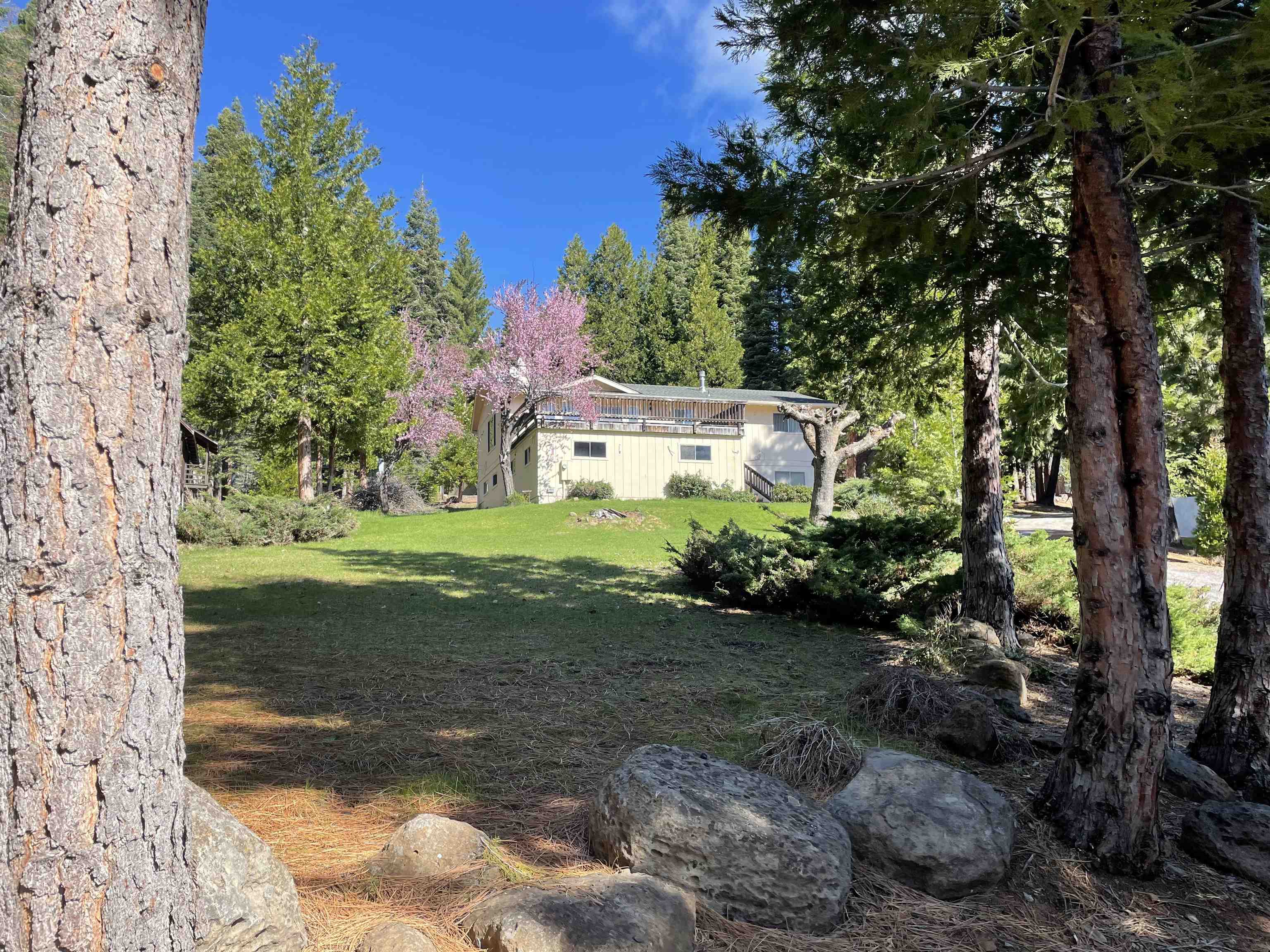 701 Timber Ridge Road