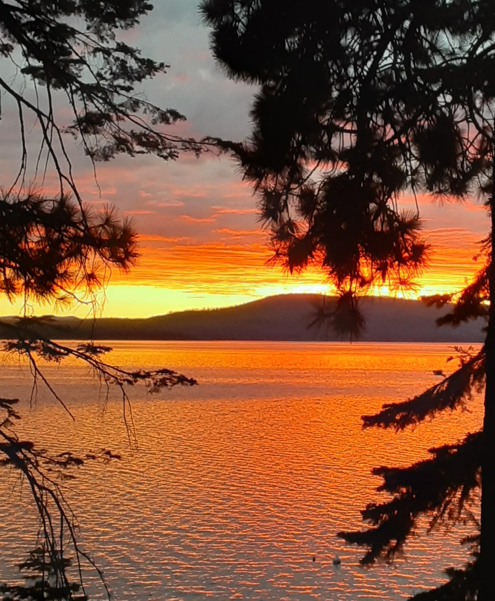 1225 Driftwood Cove Road