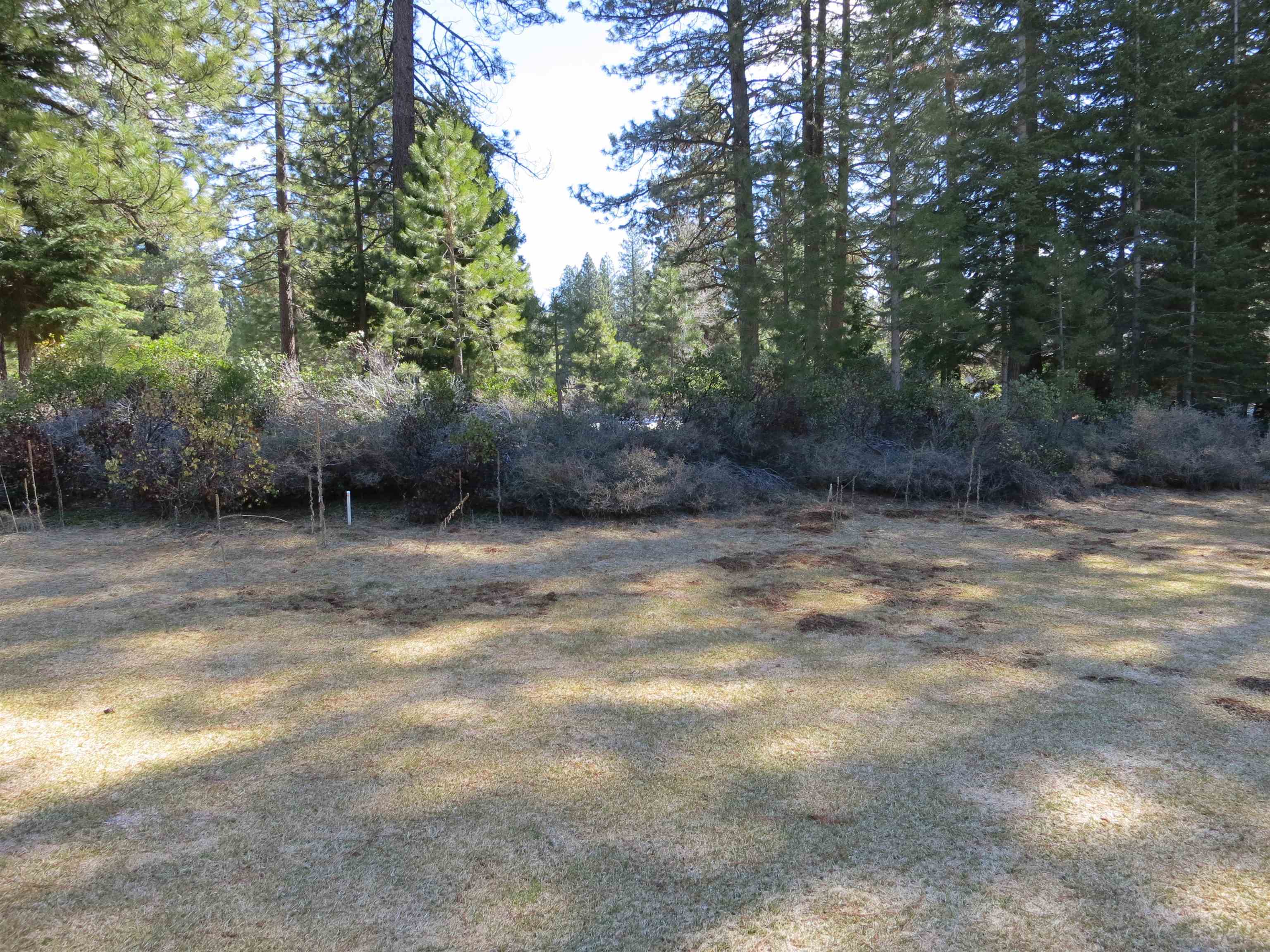 533 Dinsmore Drive