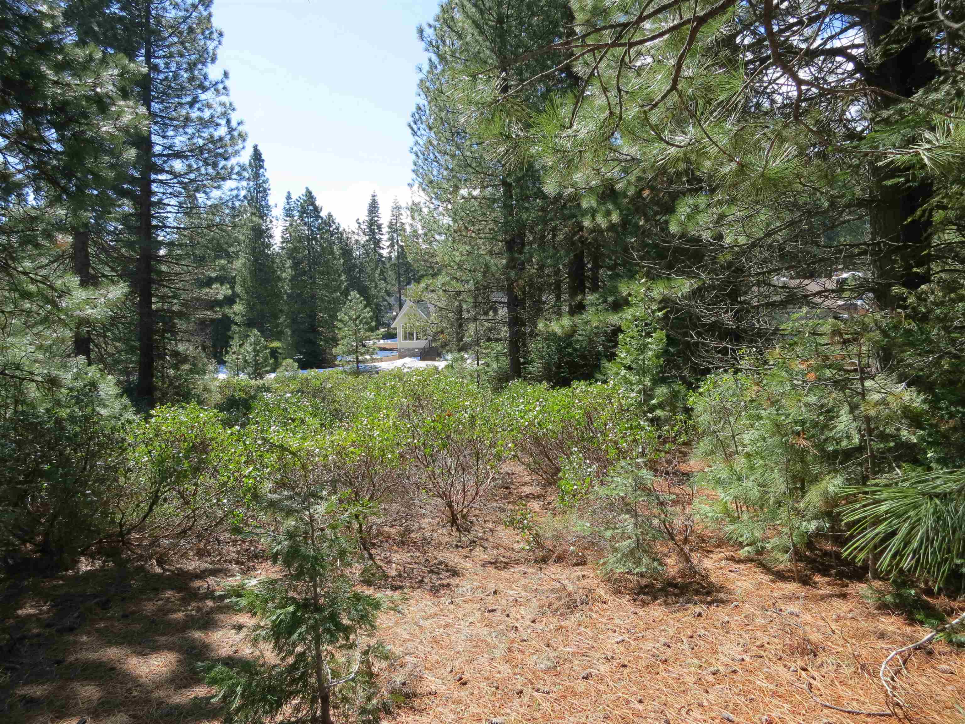 533 Dinsmore Drive
