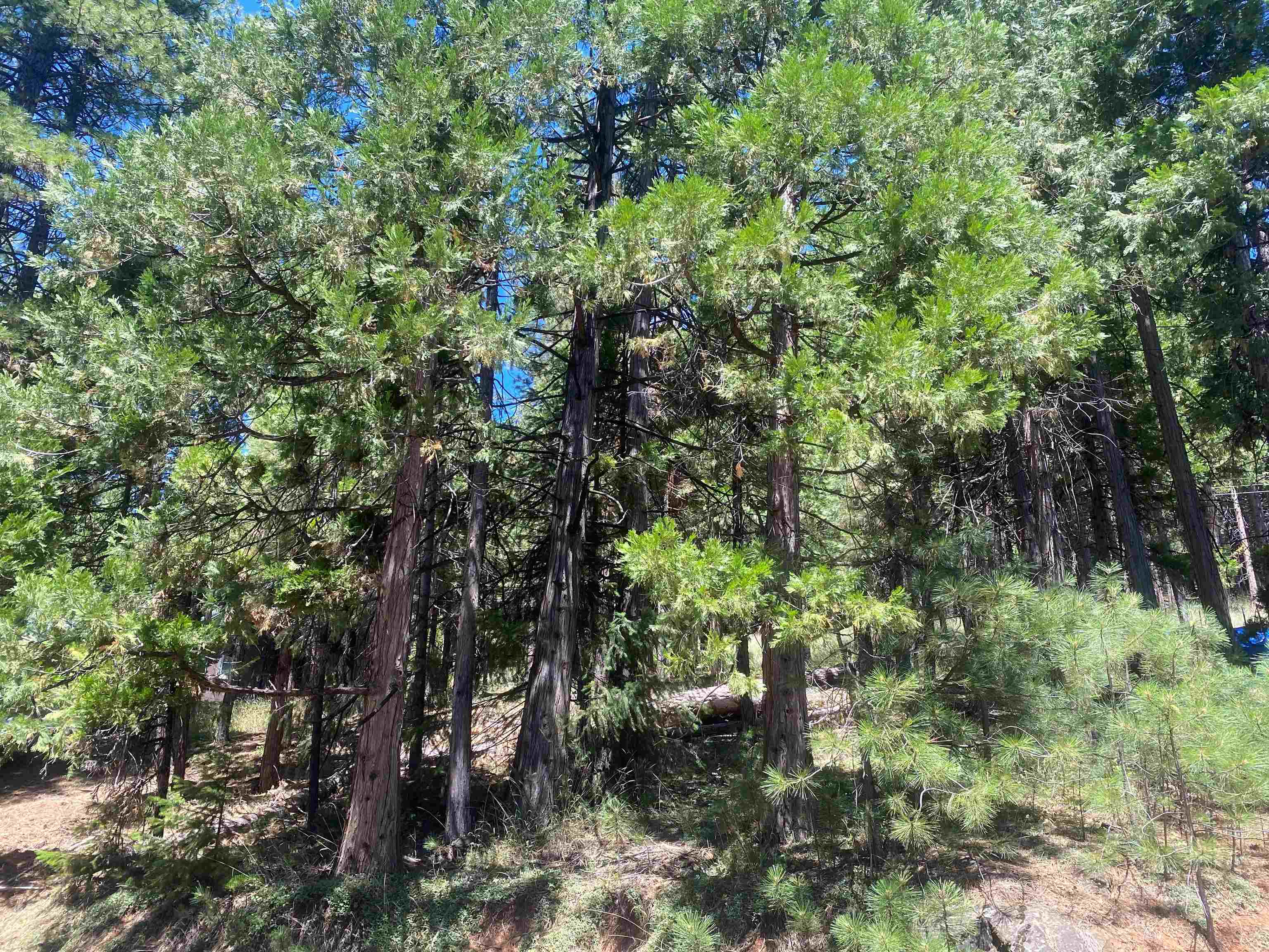 7064 Highway 147