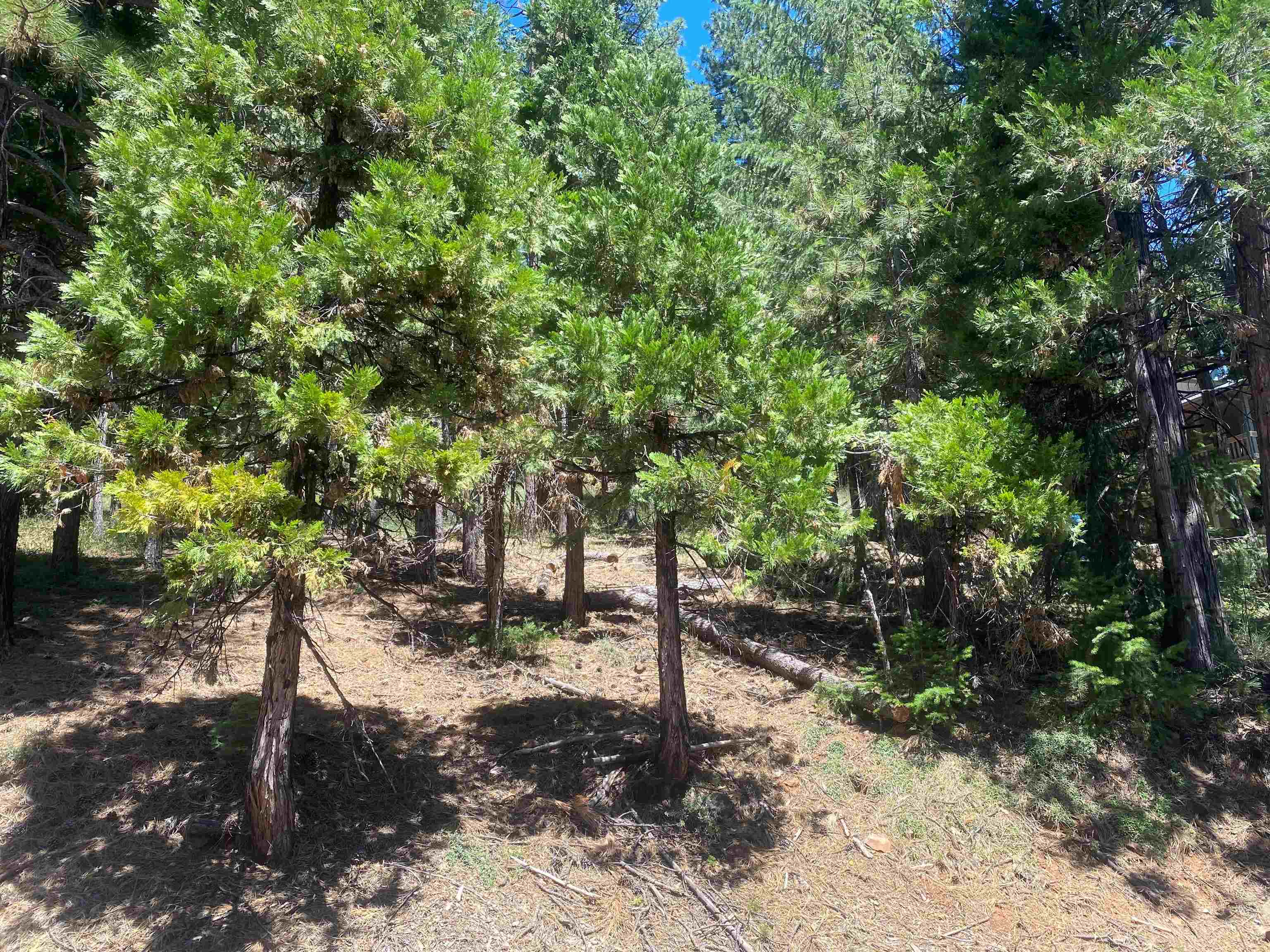 7064 Highway 147