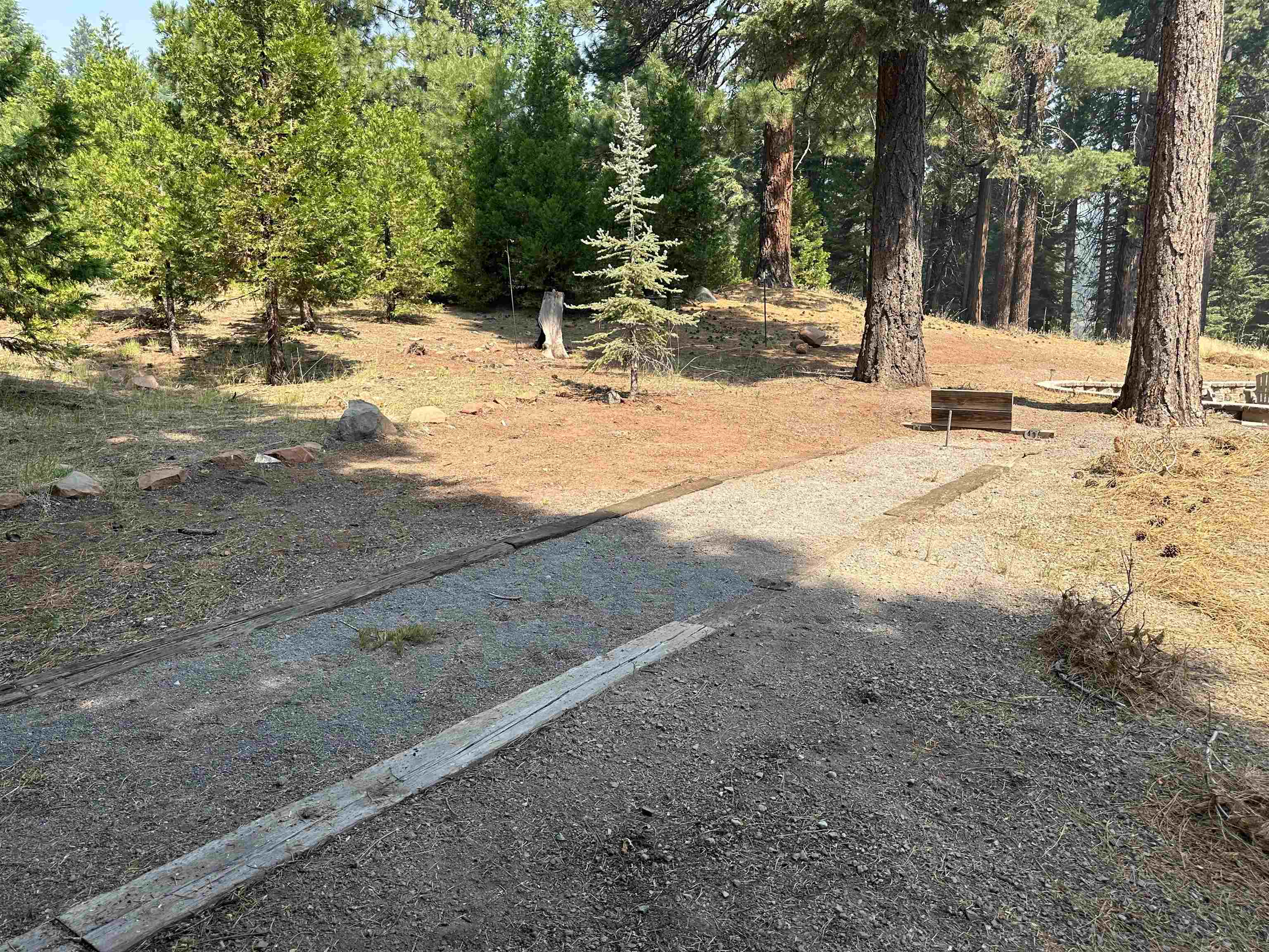 625 Deep Forest Road