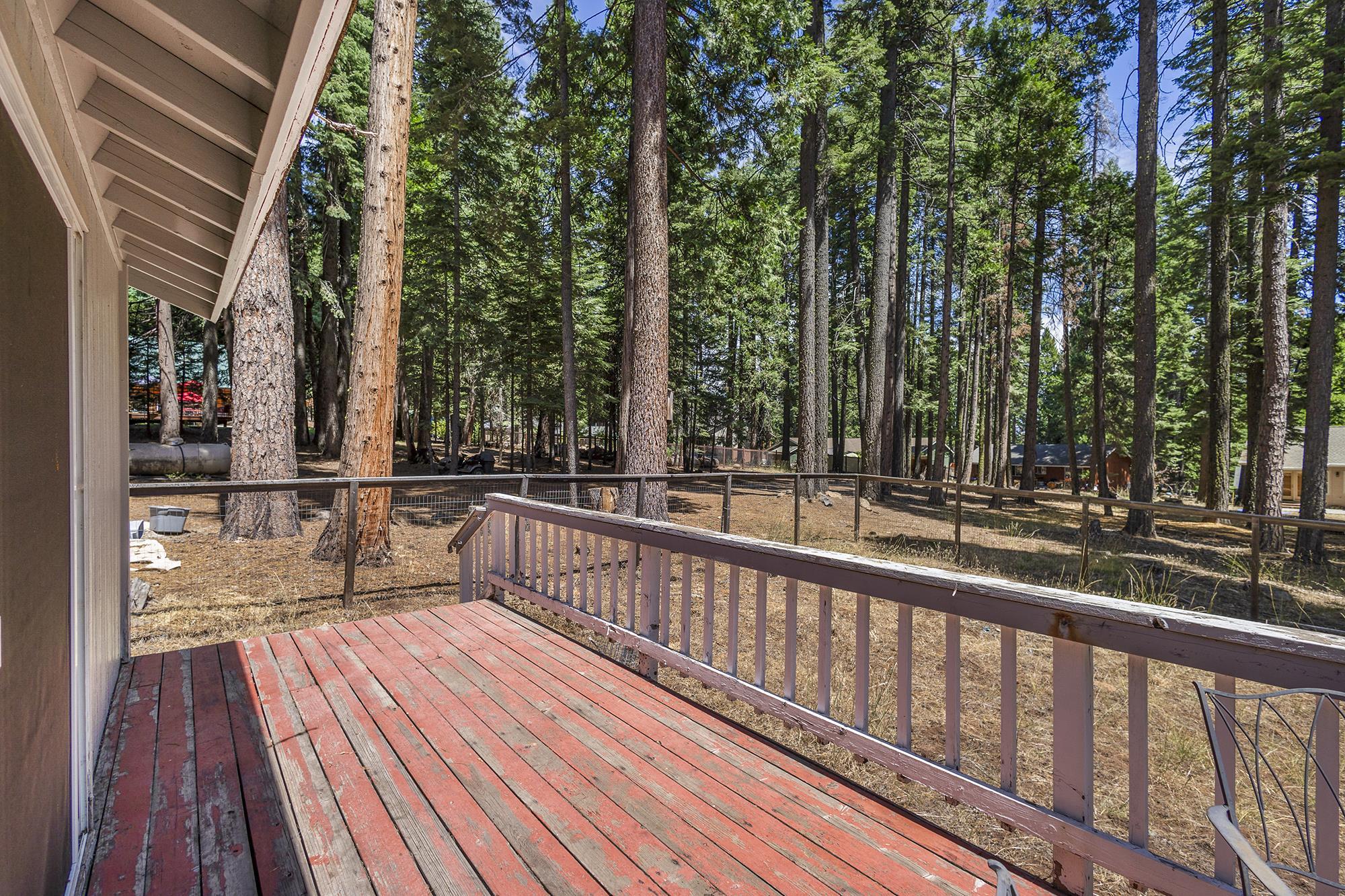 710 Conifer Trail