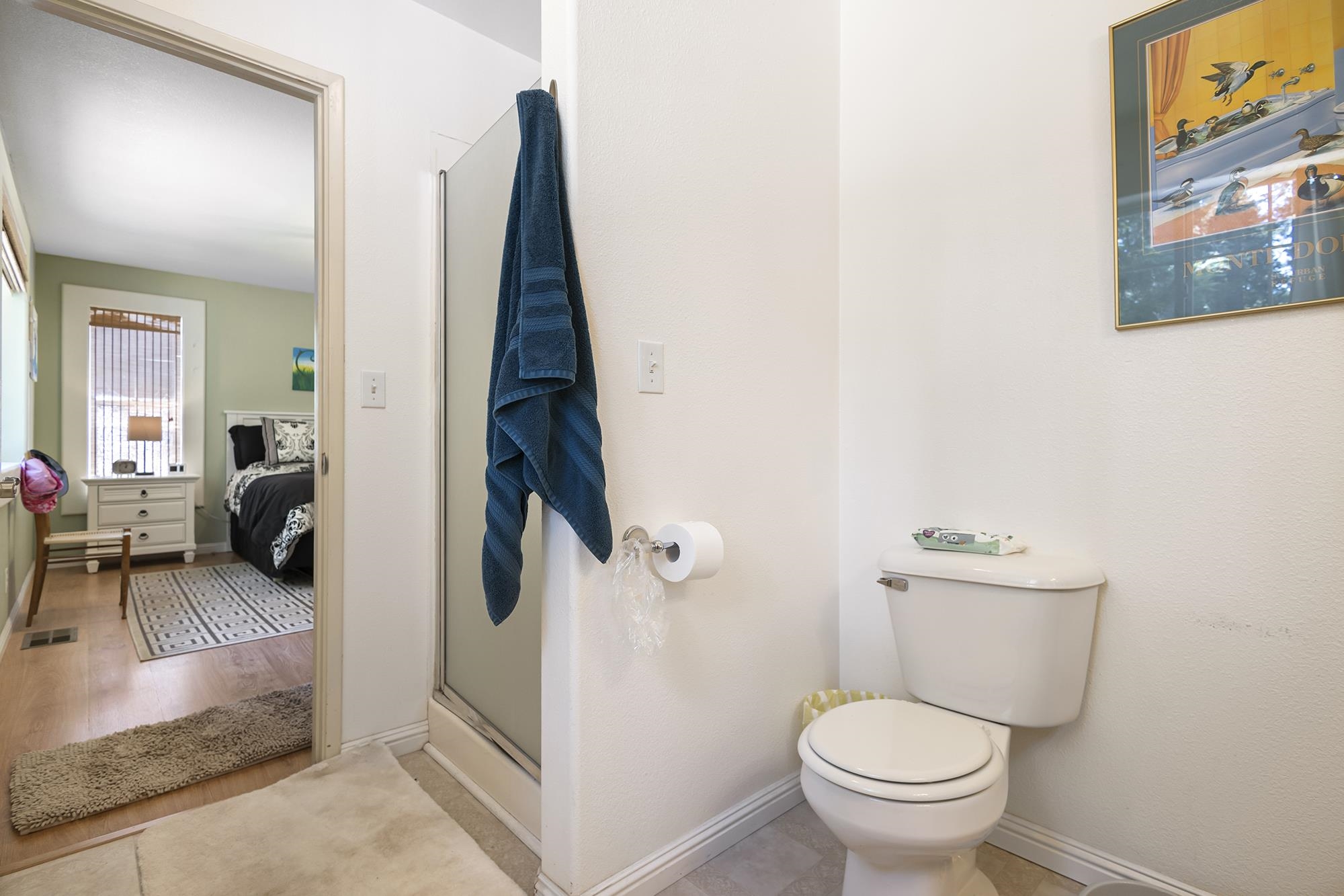710 Conifer Trail