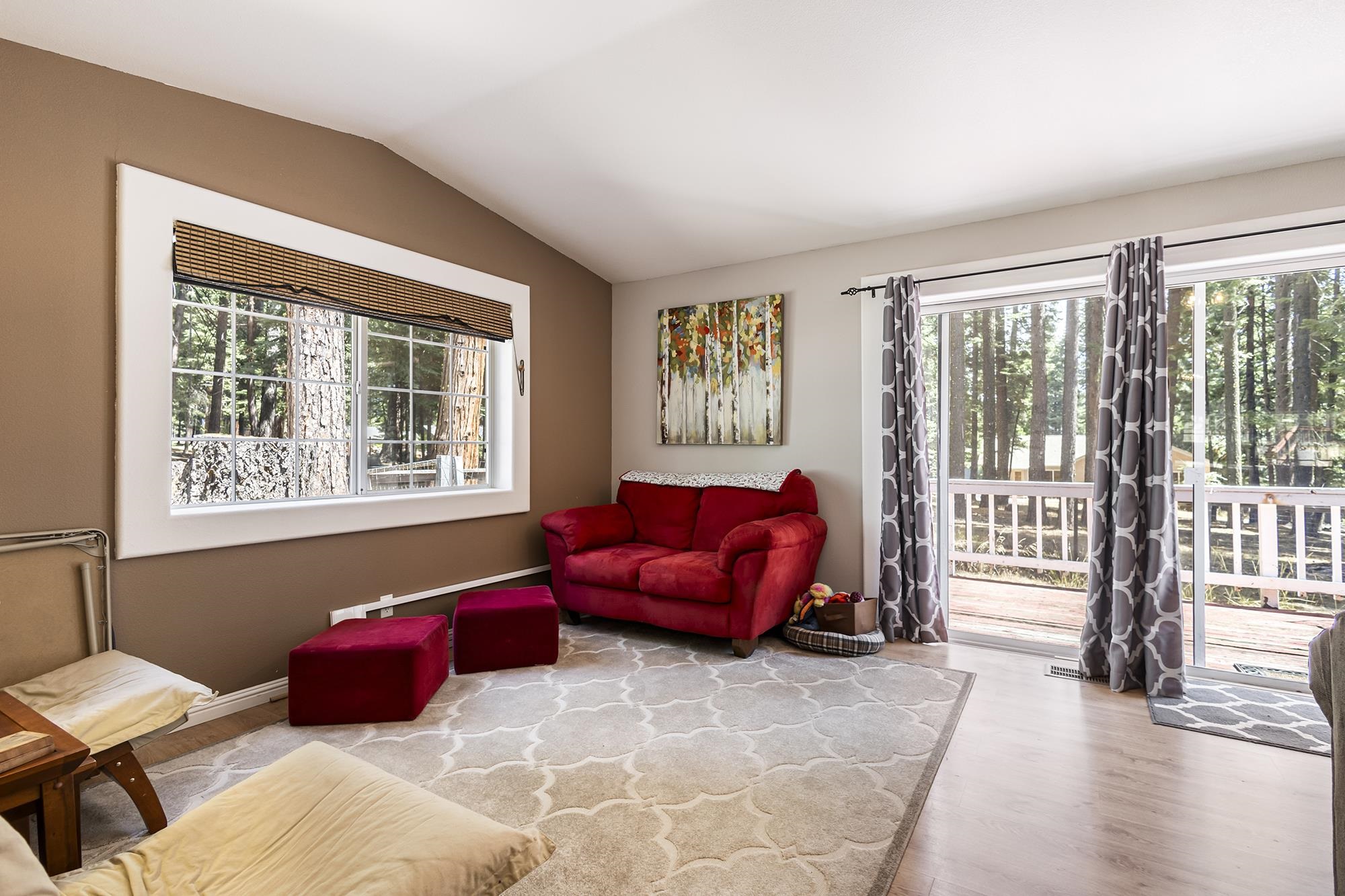 710 Conifer Trail