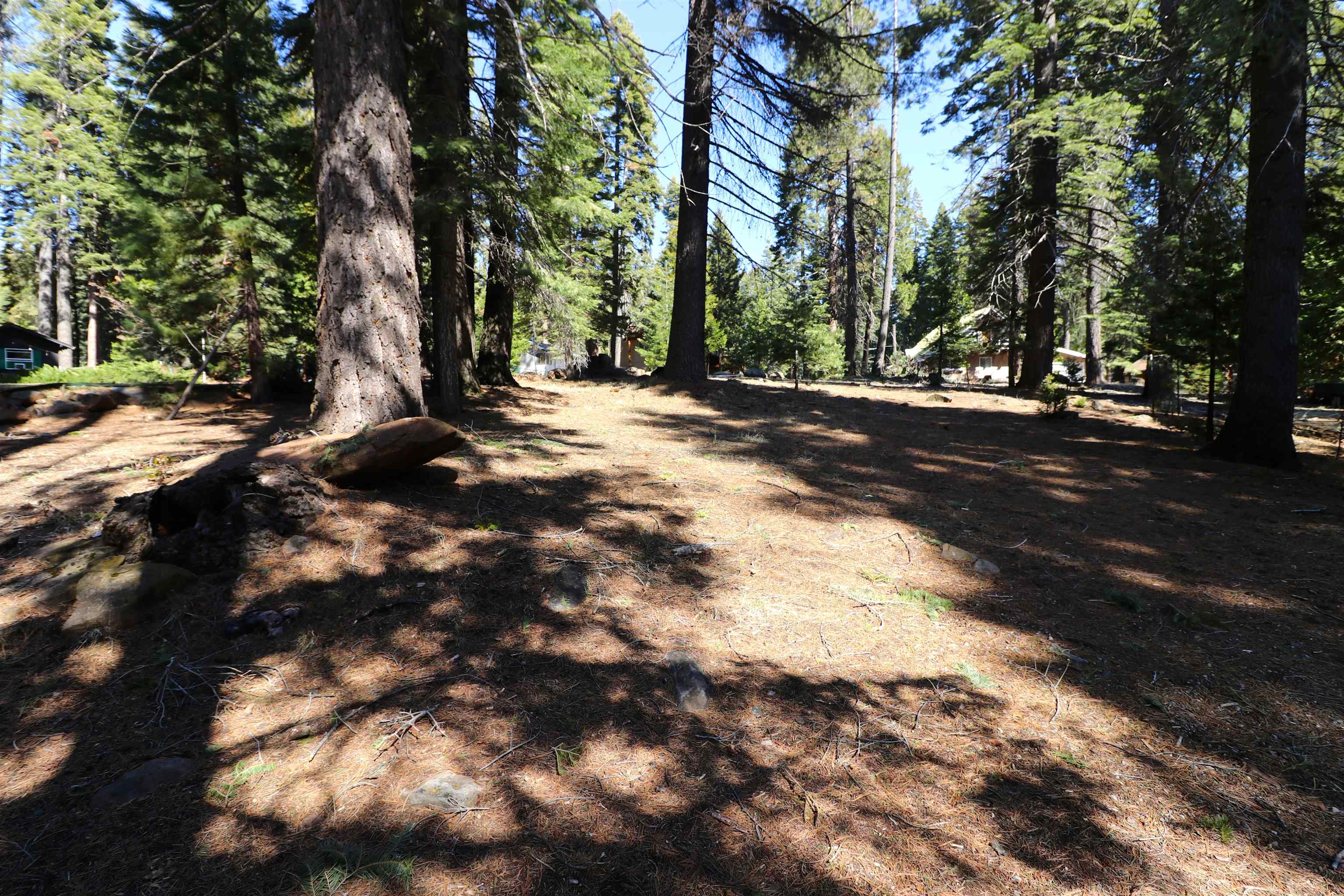1224 Lassen View Drive
