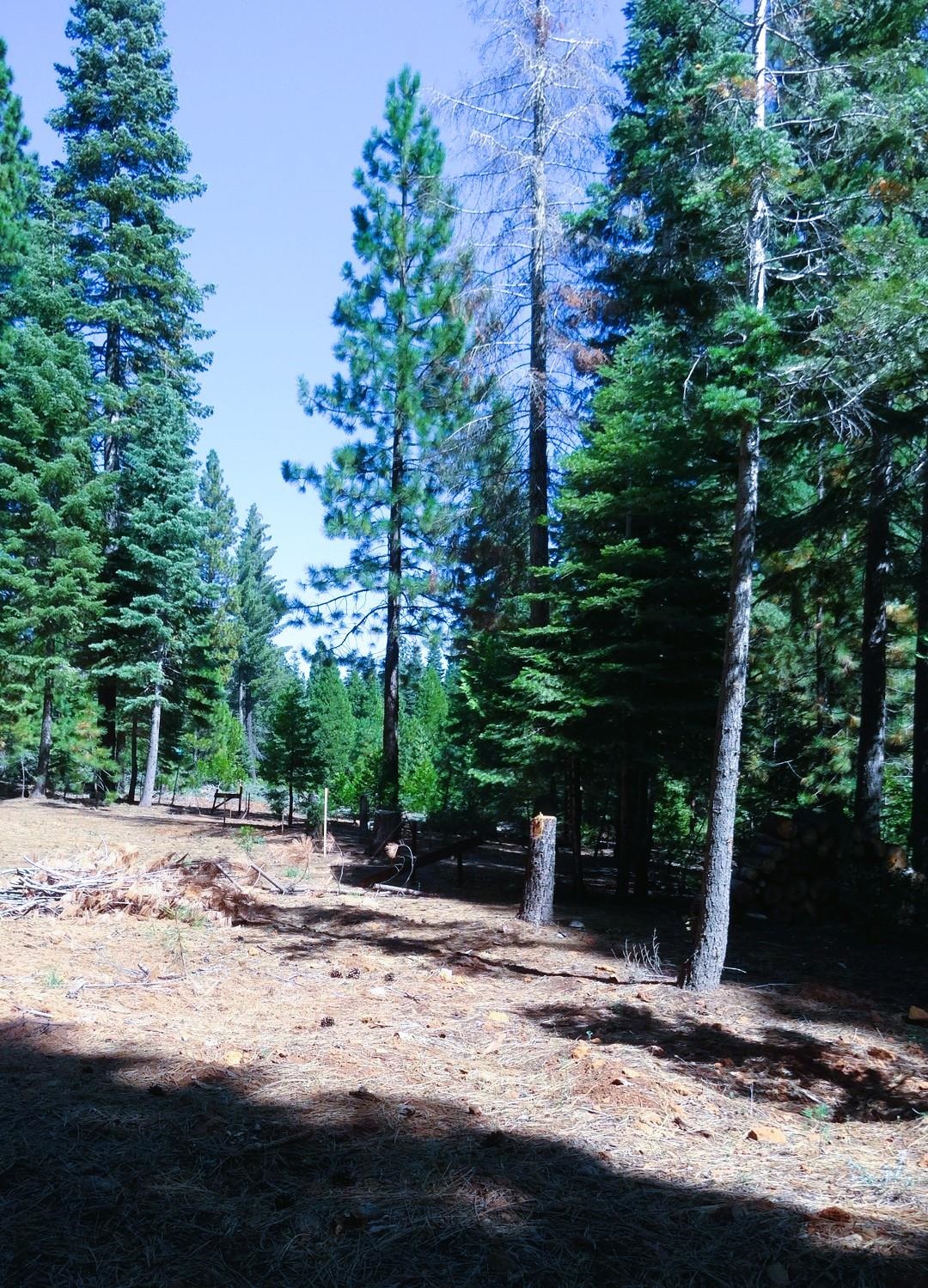 343 Red River Drive