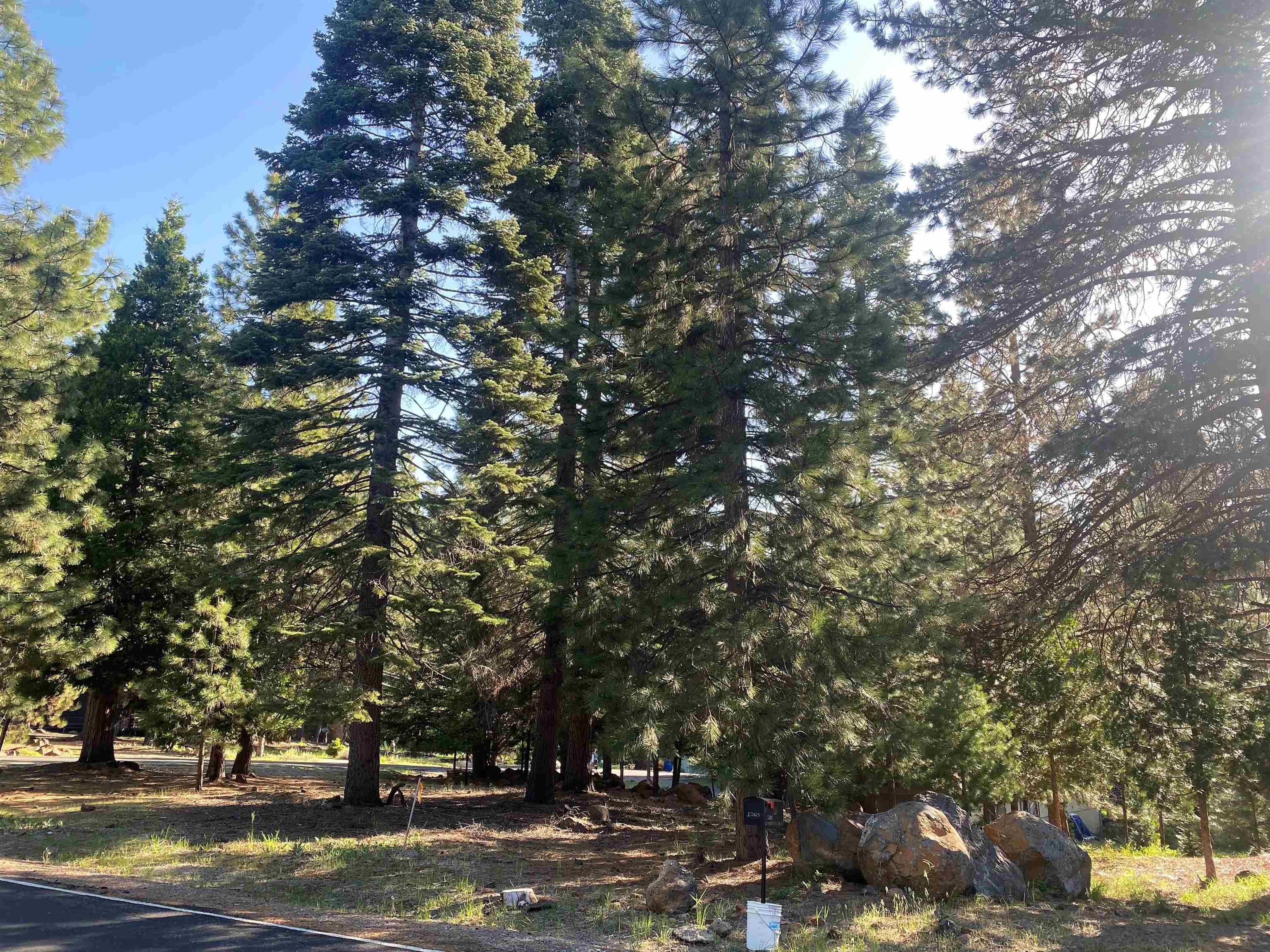 1262 Lassen View Drive