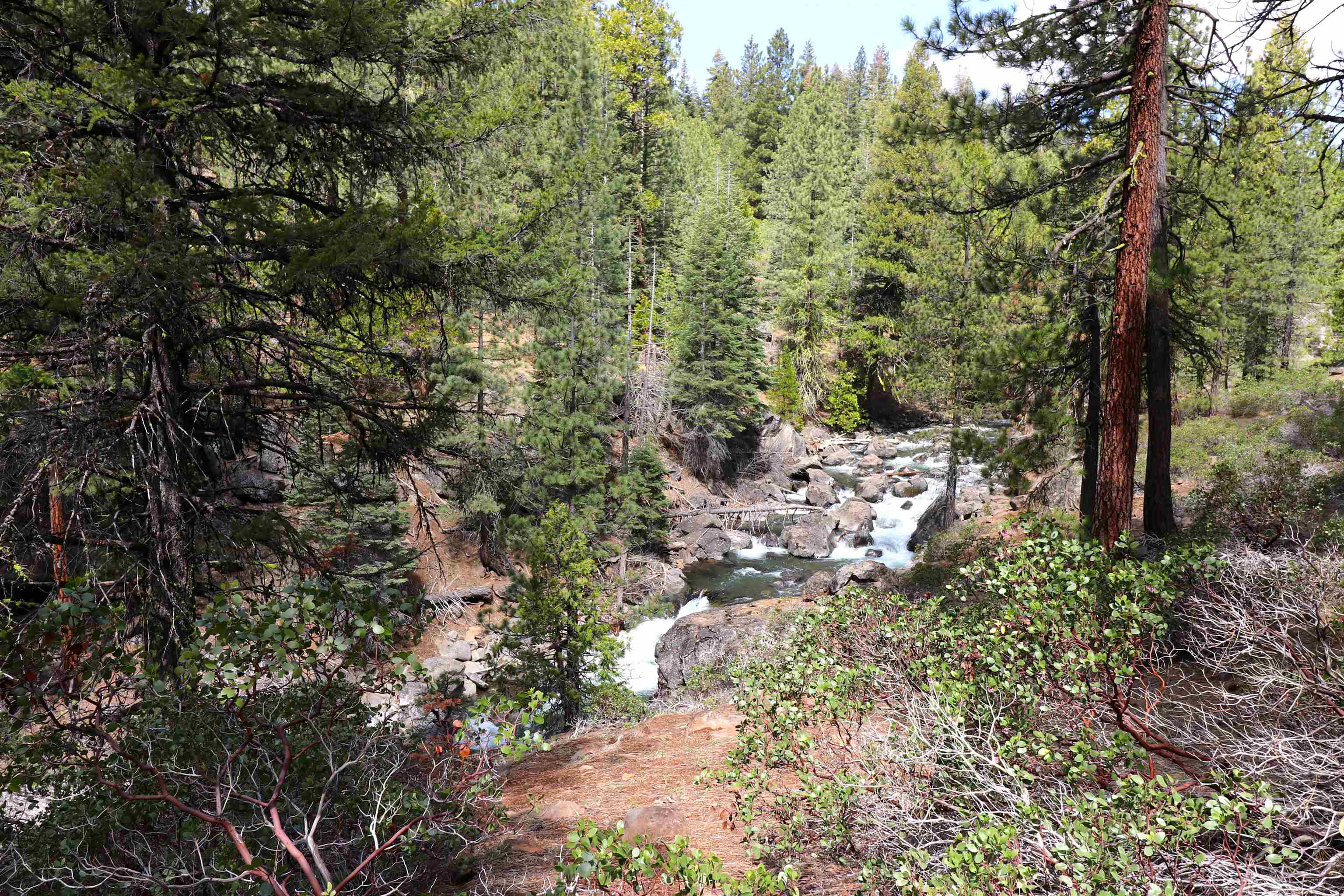 586 Bailey Creek Drive