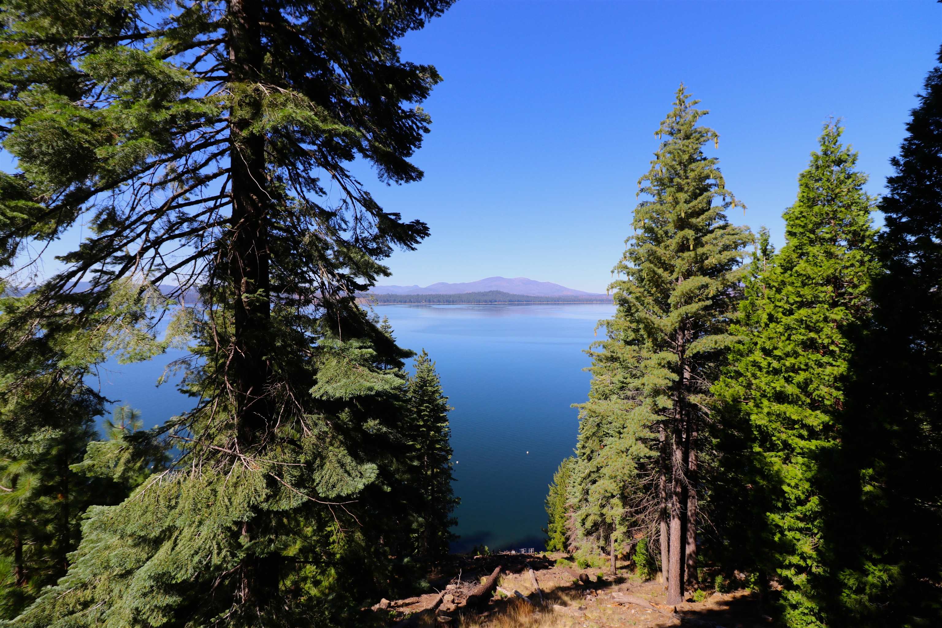 903 Lassen View Drive