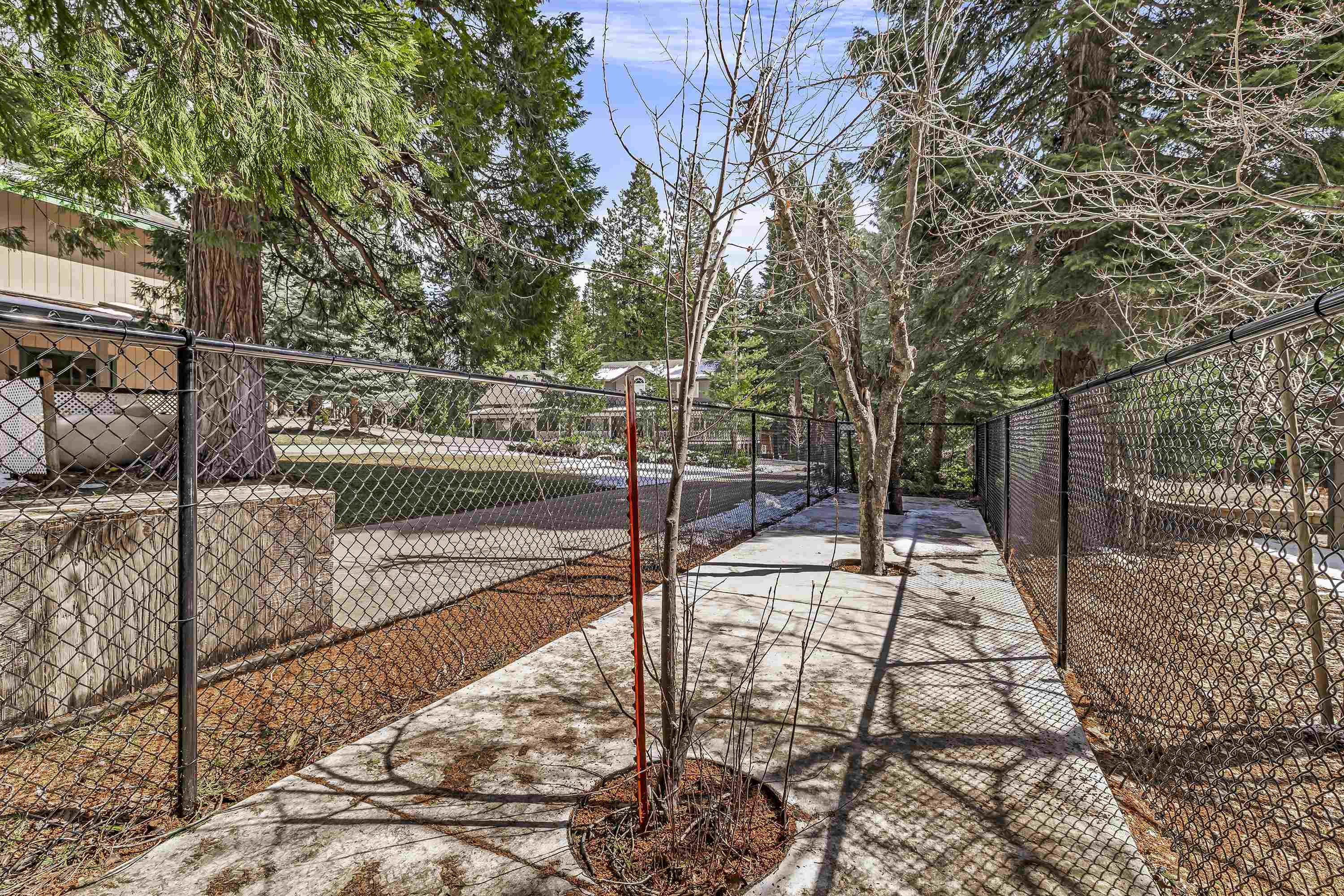 613 Clifford Drive