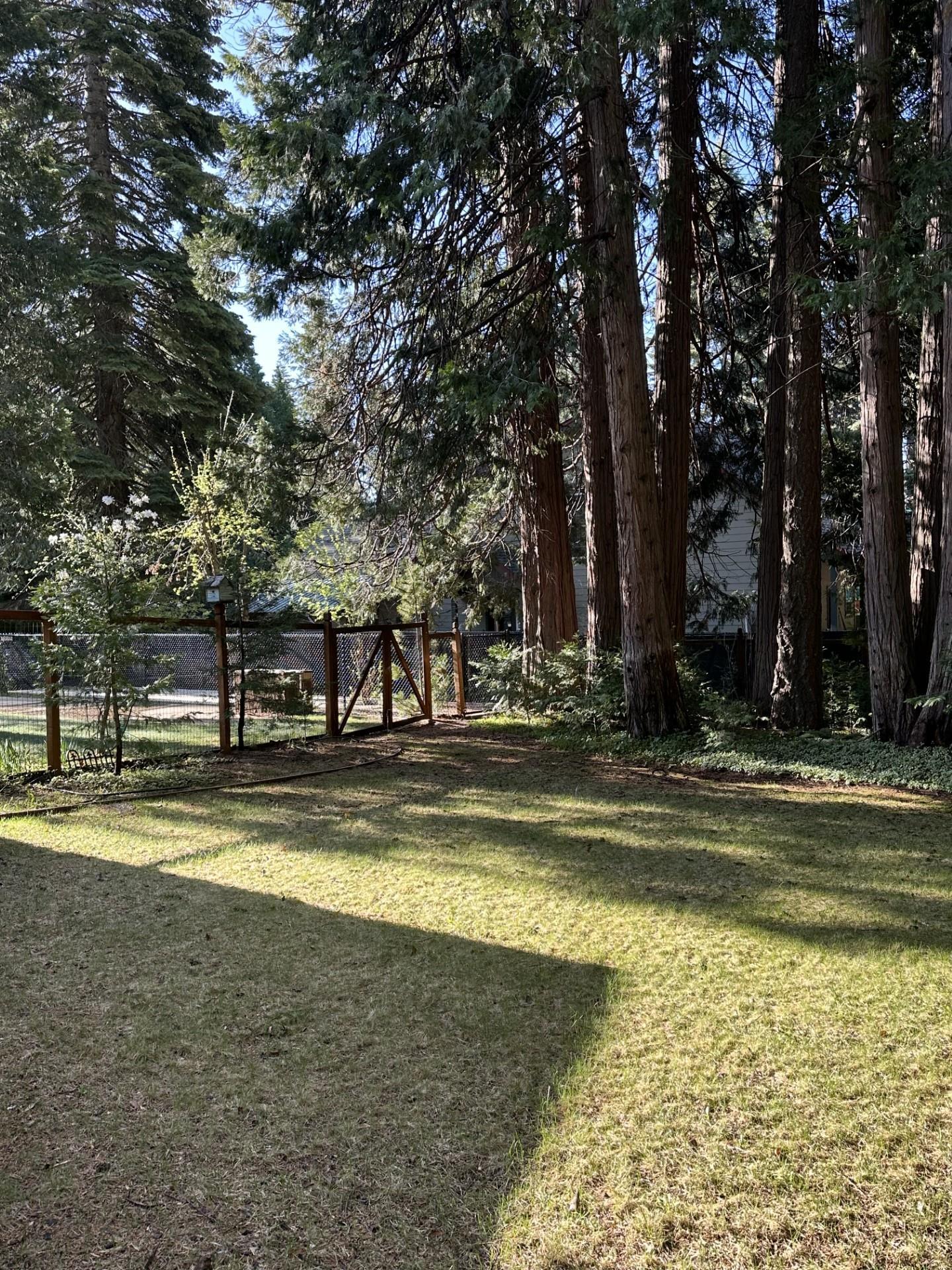 613 Clifford Drive
