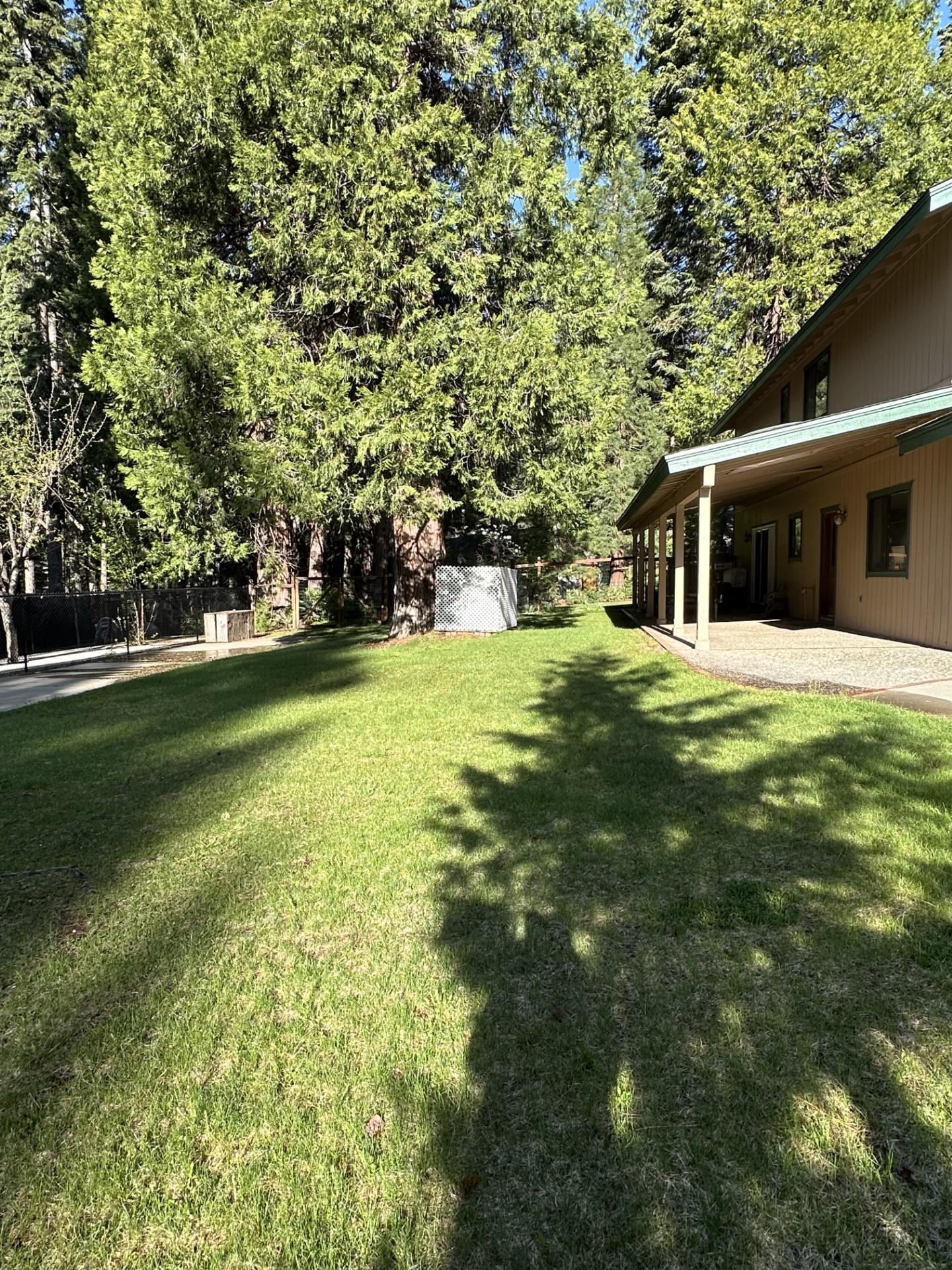 613 Clifford Drive