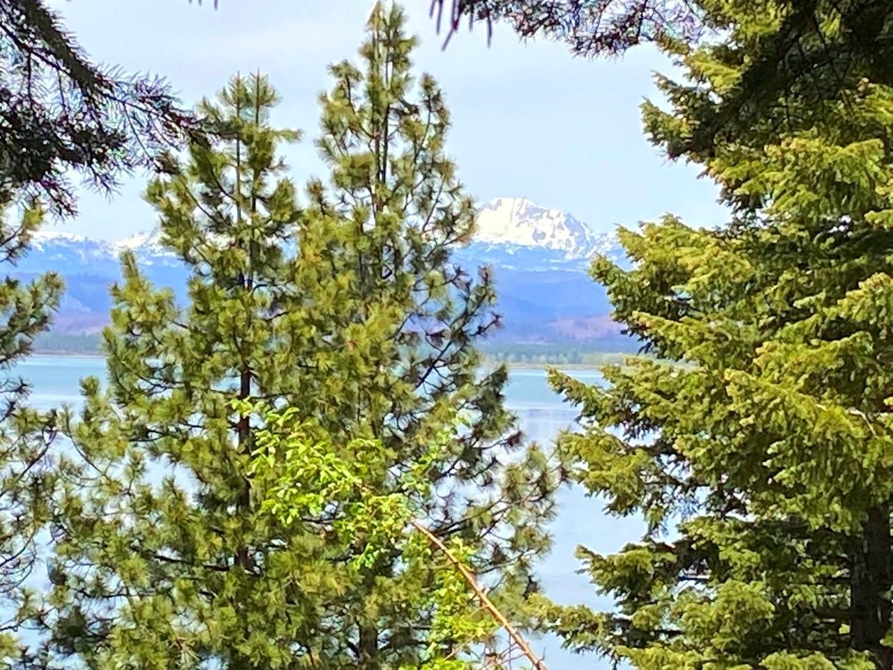 817 Lassen View Drive