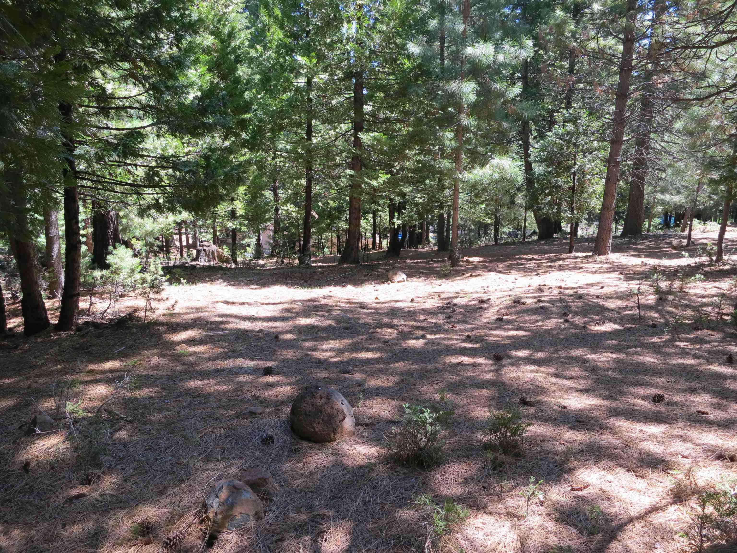 1016 Timber Ridge Road