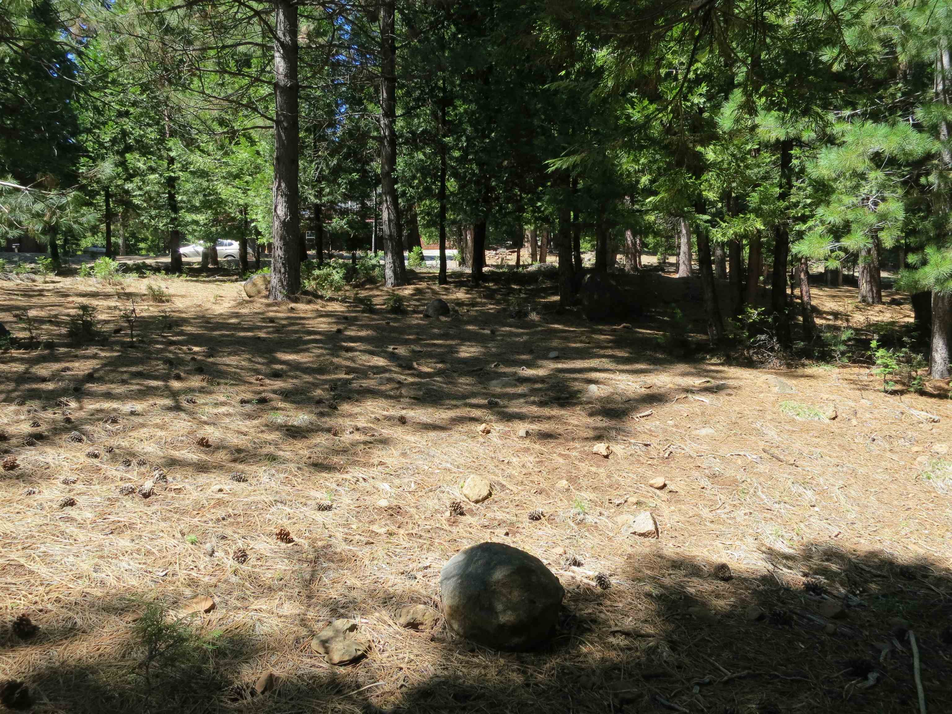 1016 Timber Ridge Road