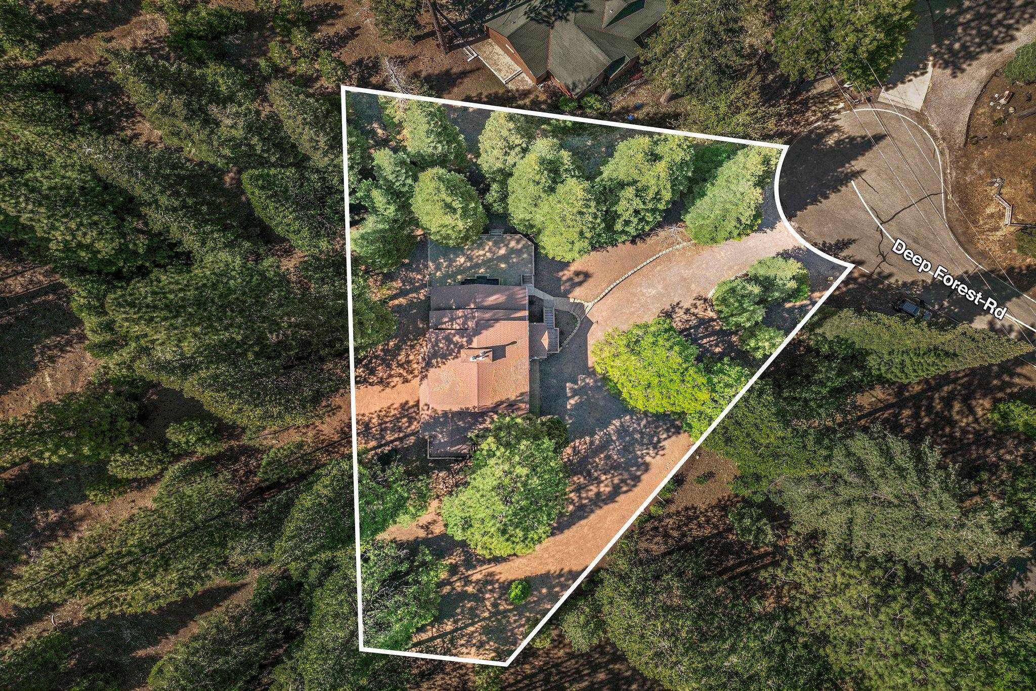 624 Deep Forest Road