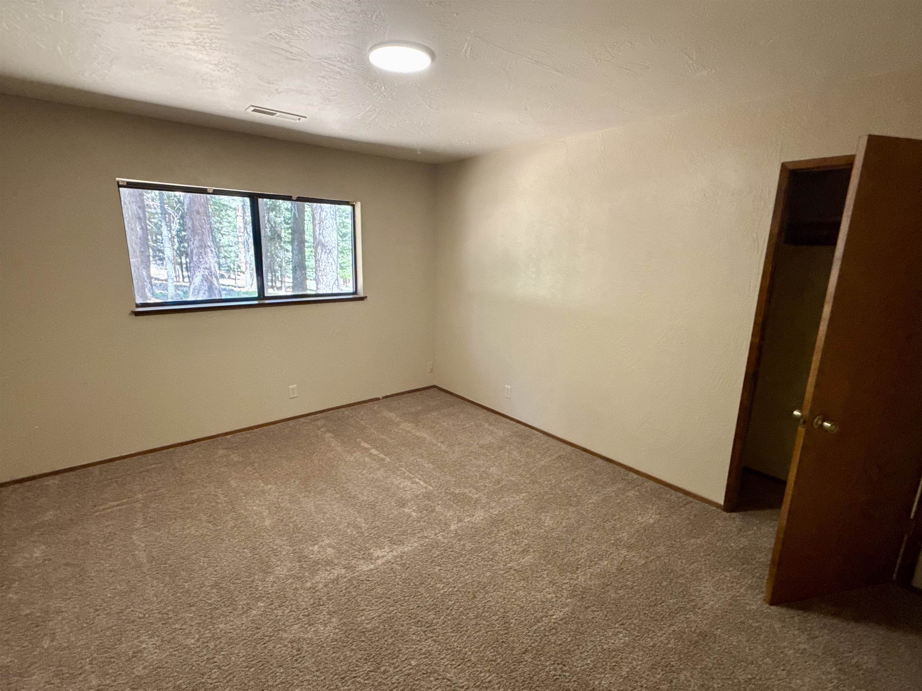 702 Conifer Trail