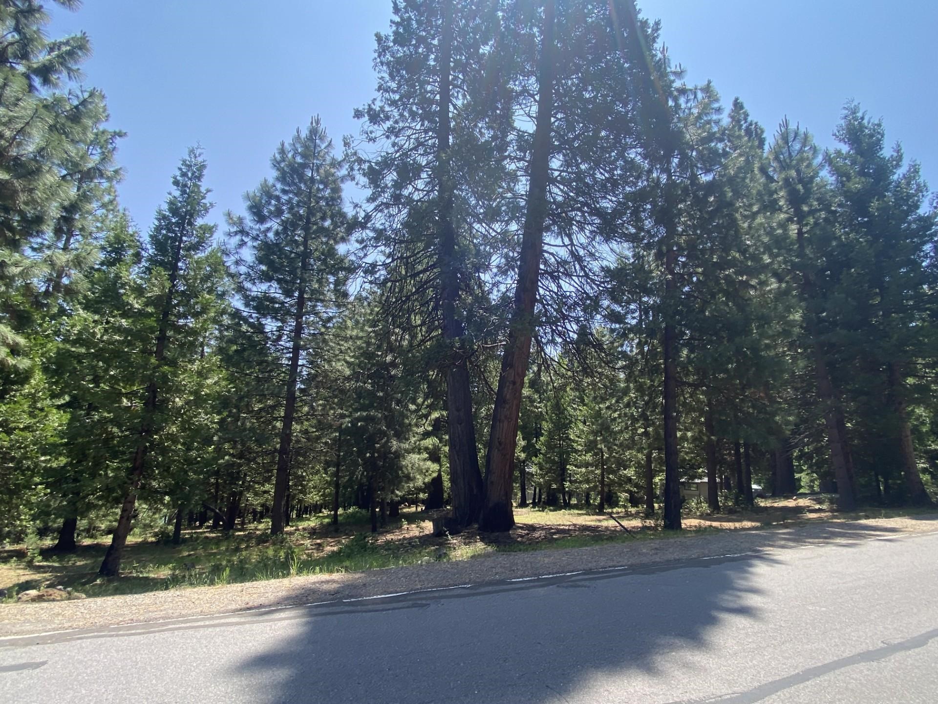 1018 Timber Ridge Road