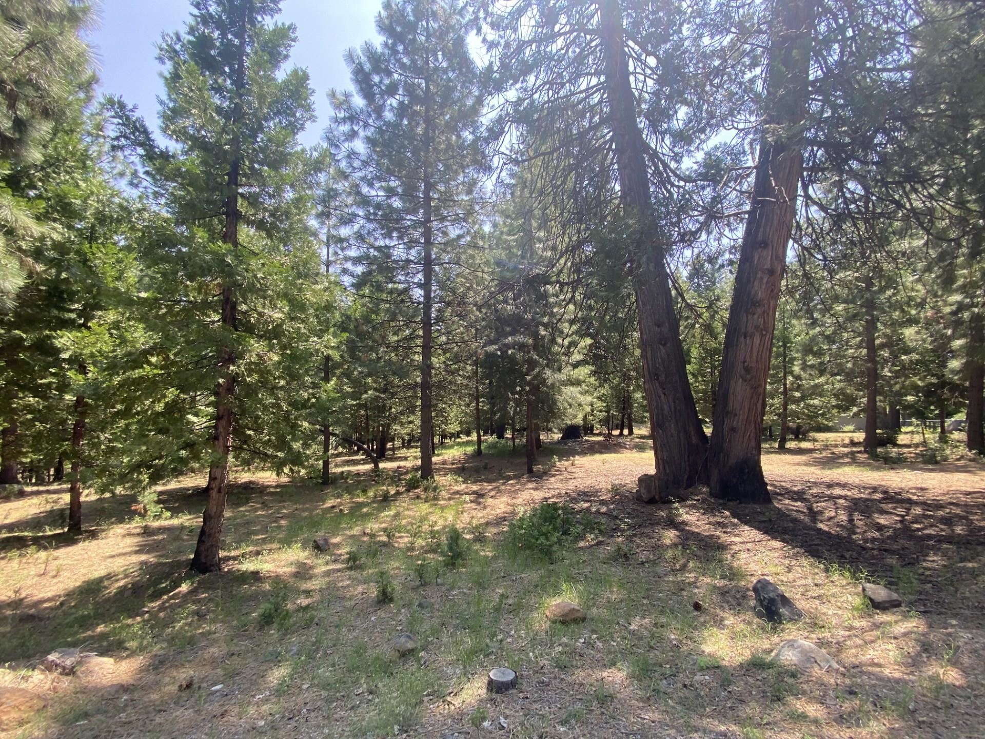 1018 Timber Ridge Road