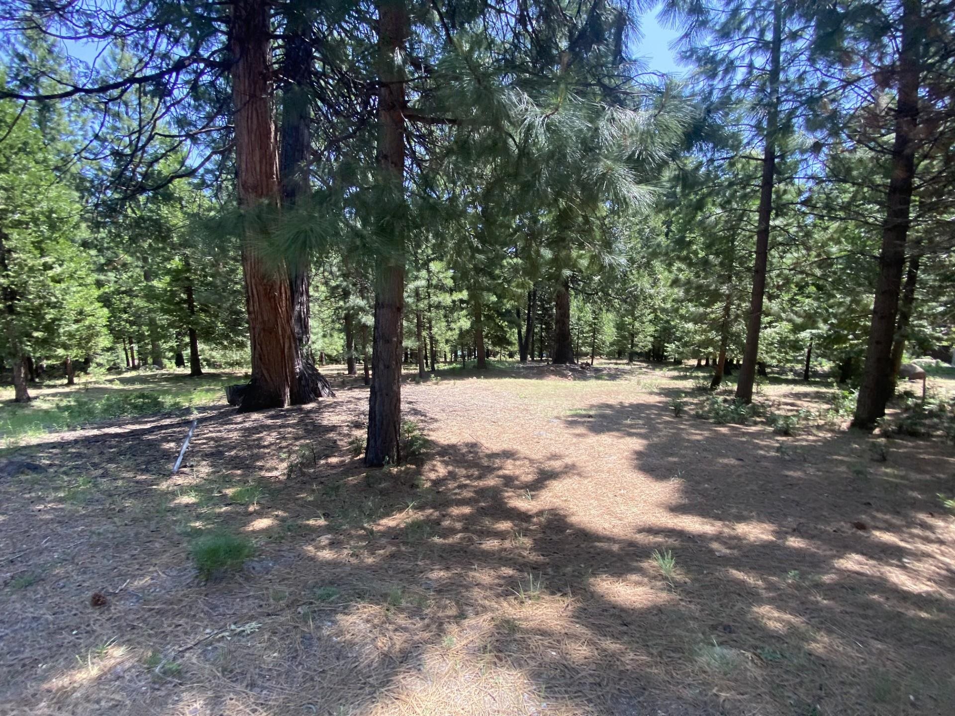 1018 Timber Ridge Road