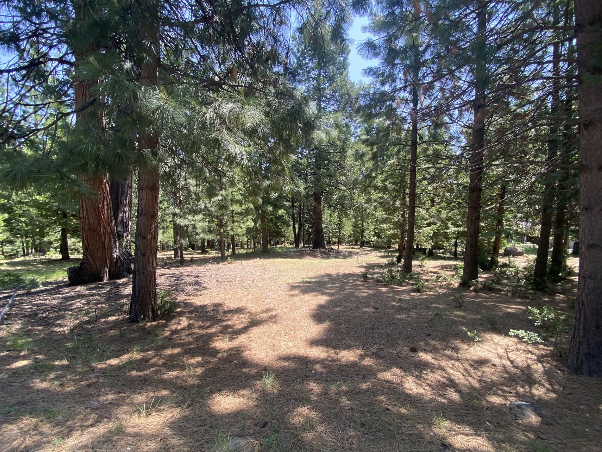 1018 Timber Ridge Road