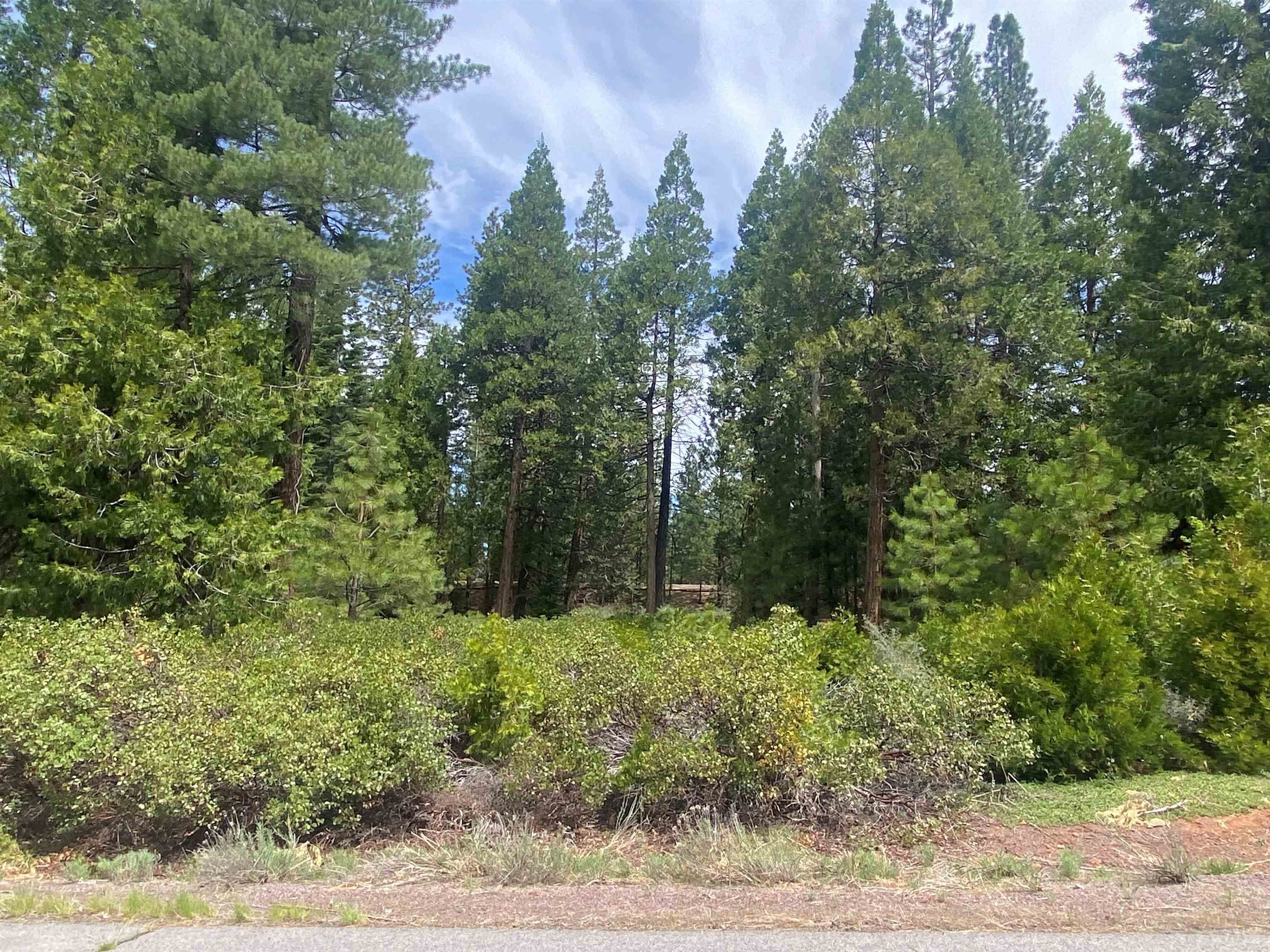 790 Red River Drive