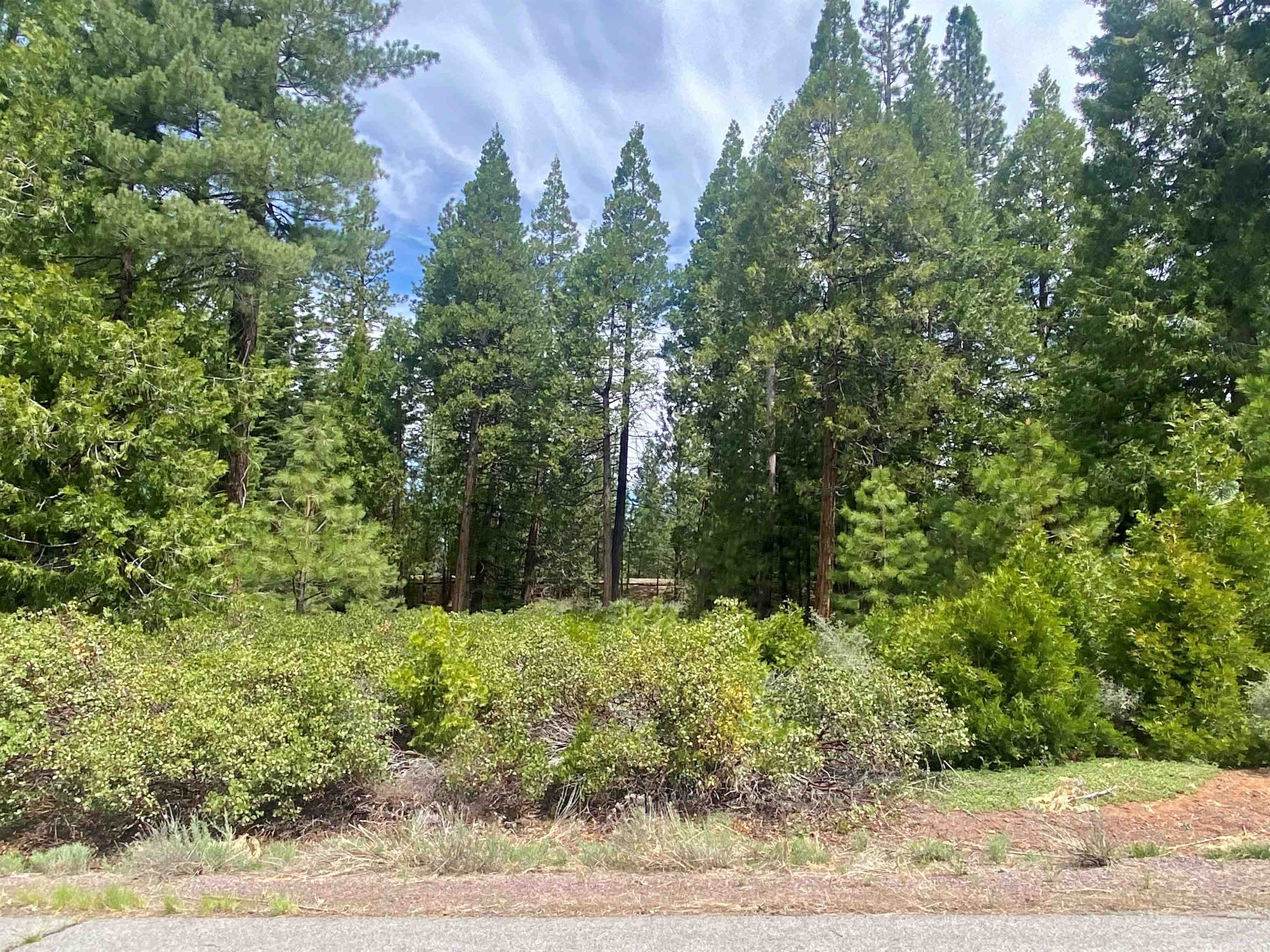 790 Red River Drive