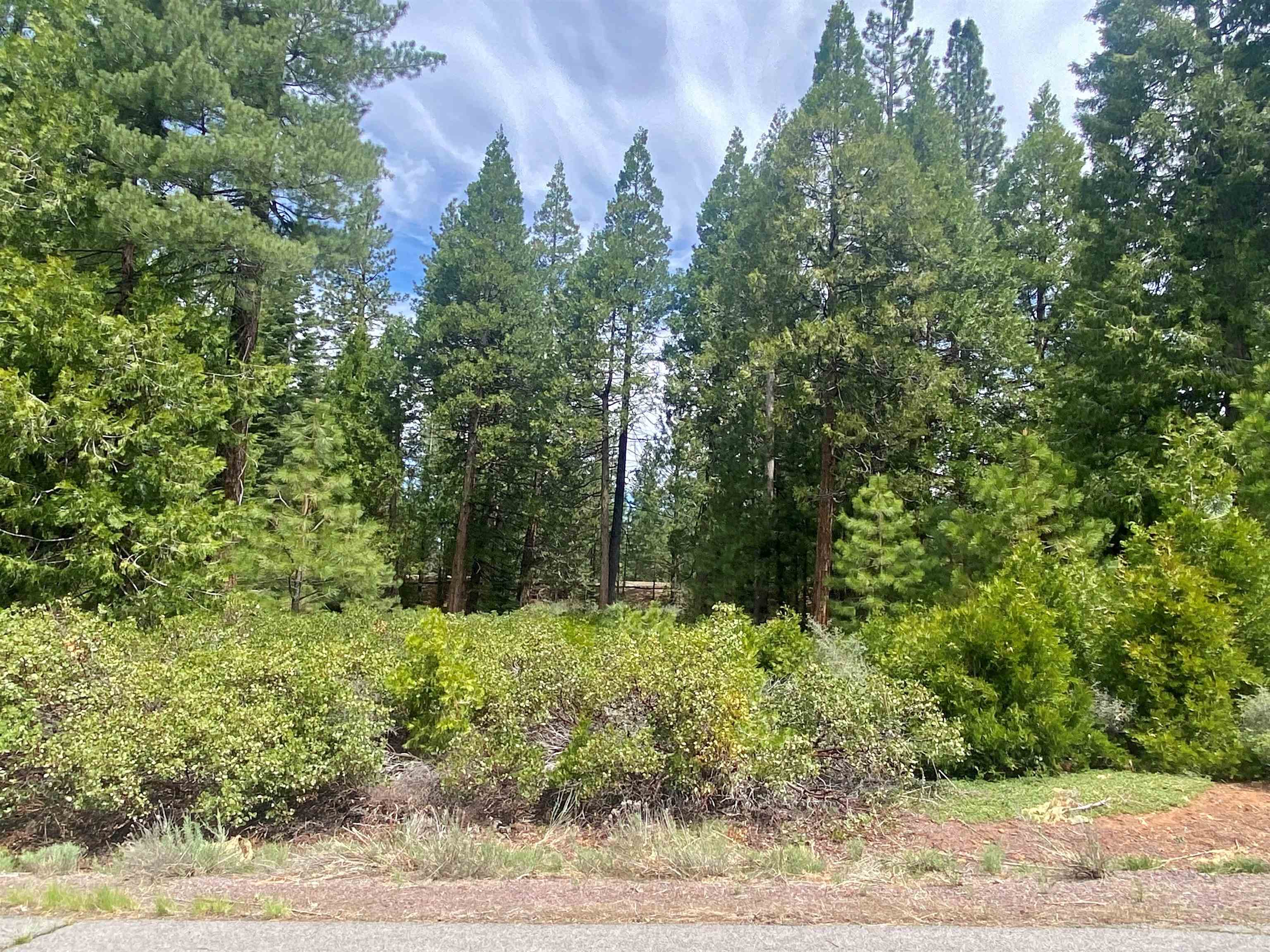 790 Red River Drive