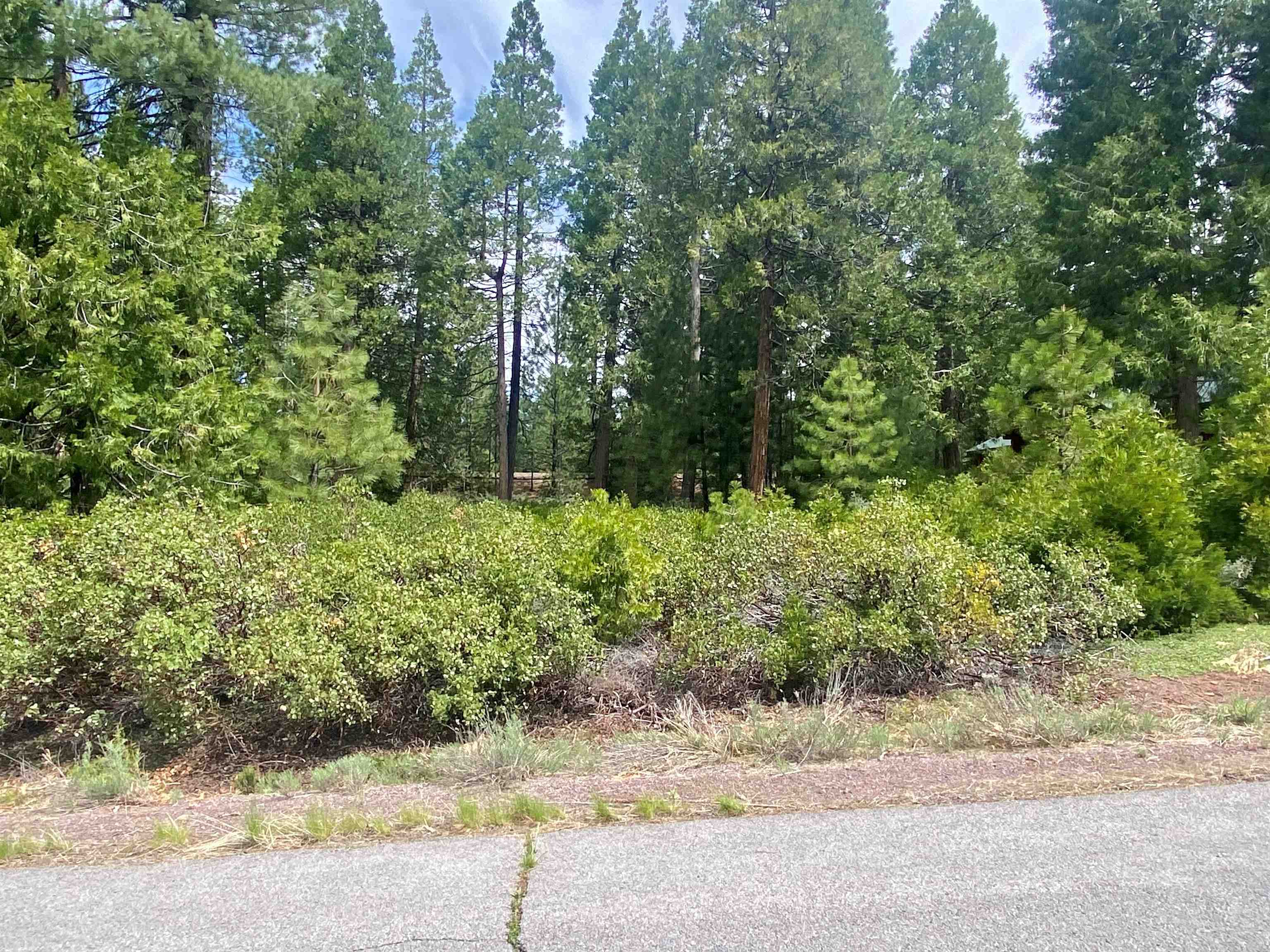 790 Red River Drive