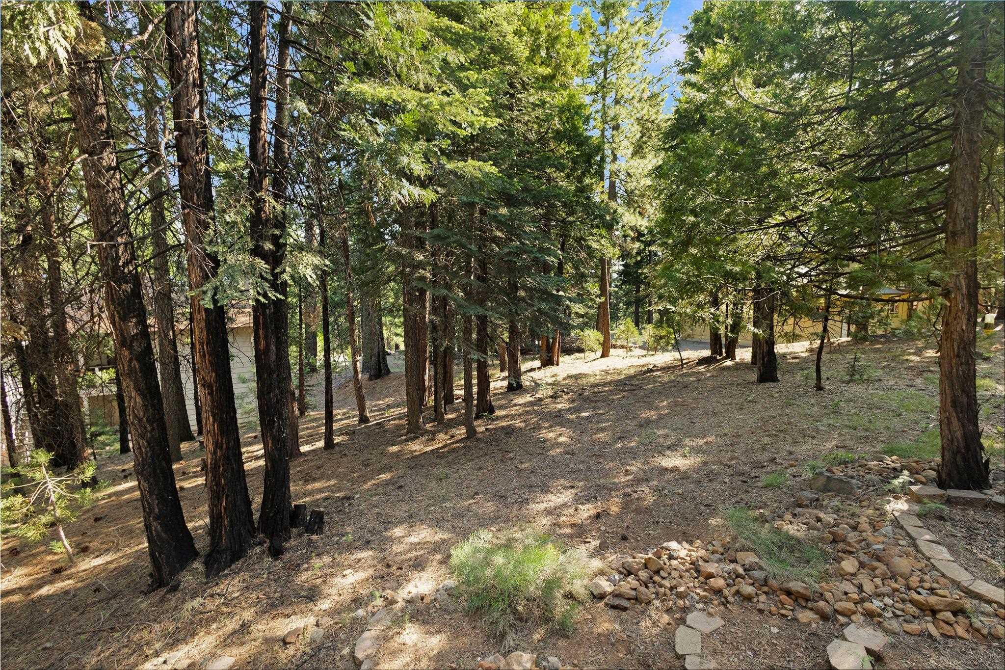 104 Top of the West Drive Unit: 102 Top of the West Drive