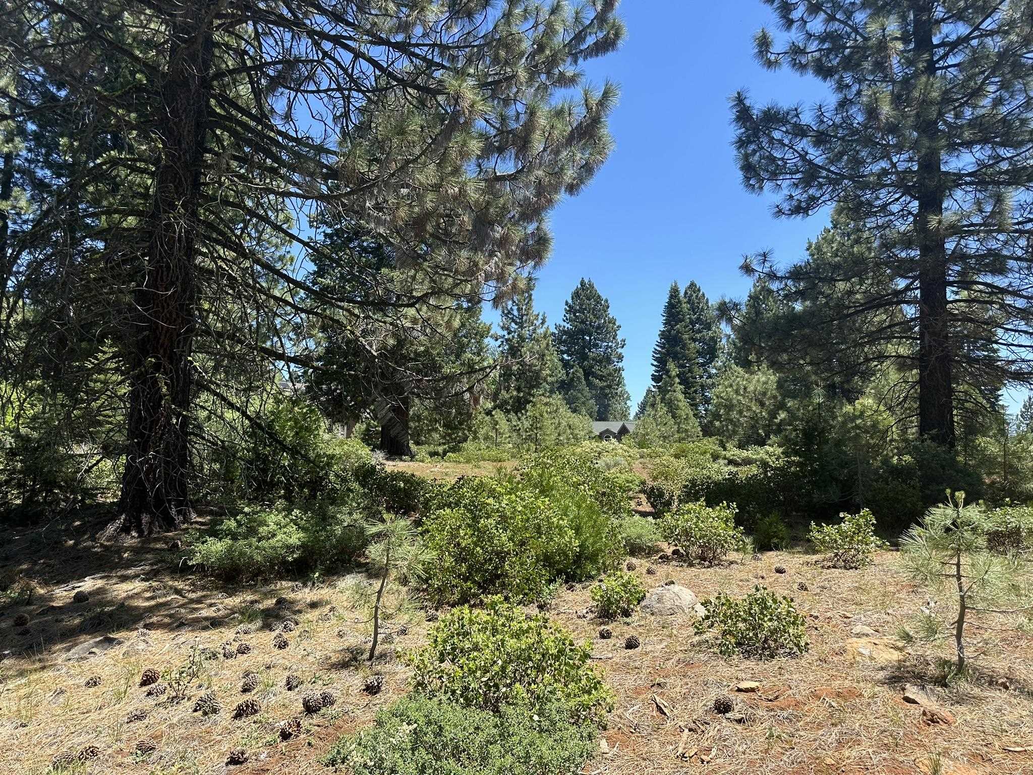 360 Bailey Creek Drive