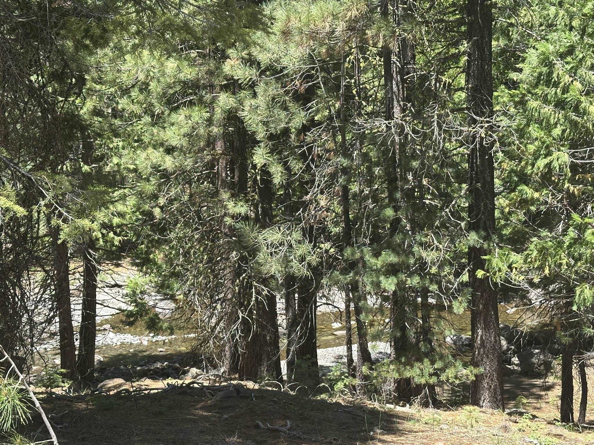 360 Bailey Creek Drive