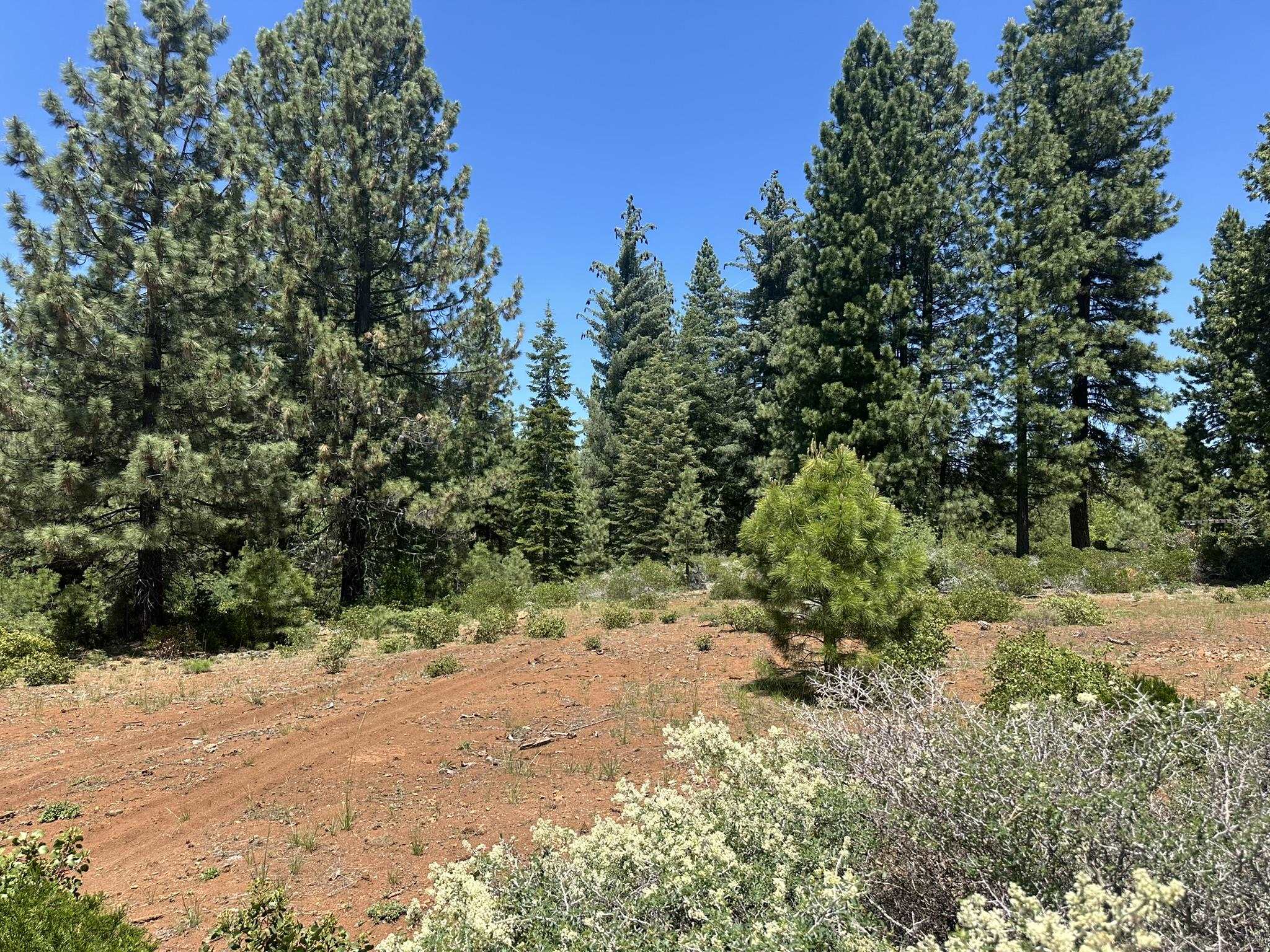 360 Bailey Creek Drive