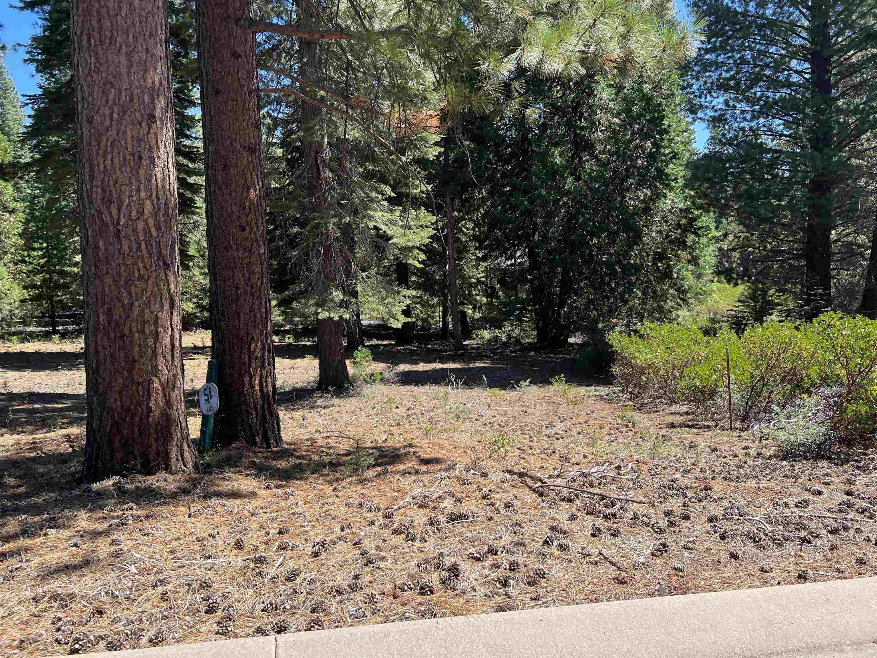 109 Fox Pine Drive